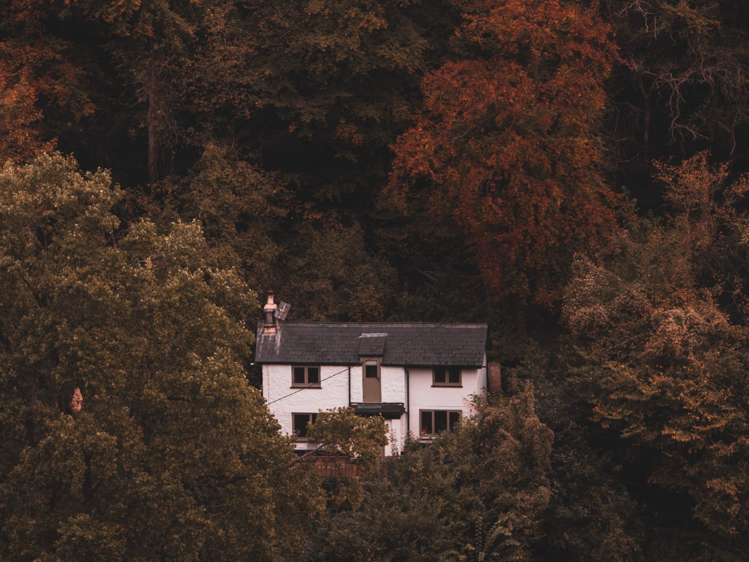 The Rapids Cottage