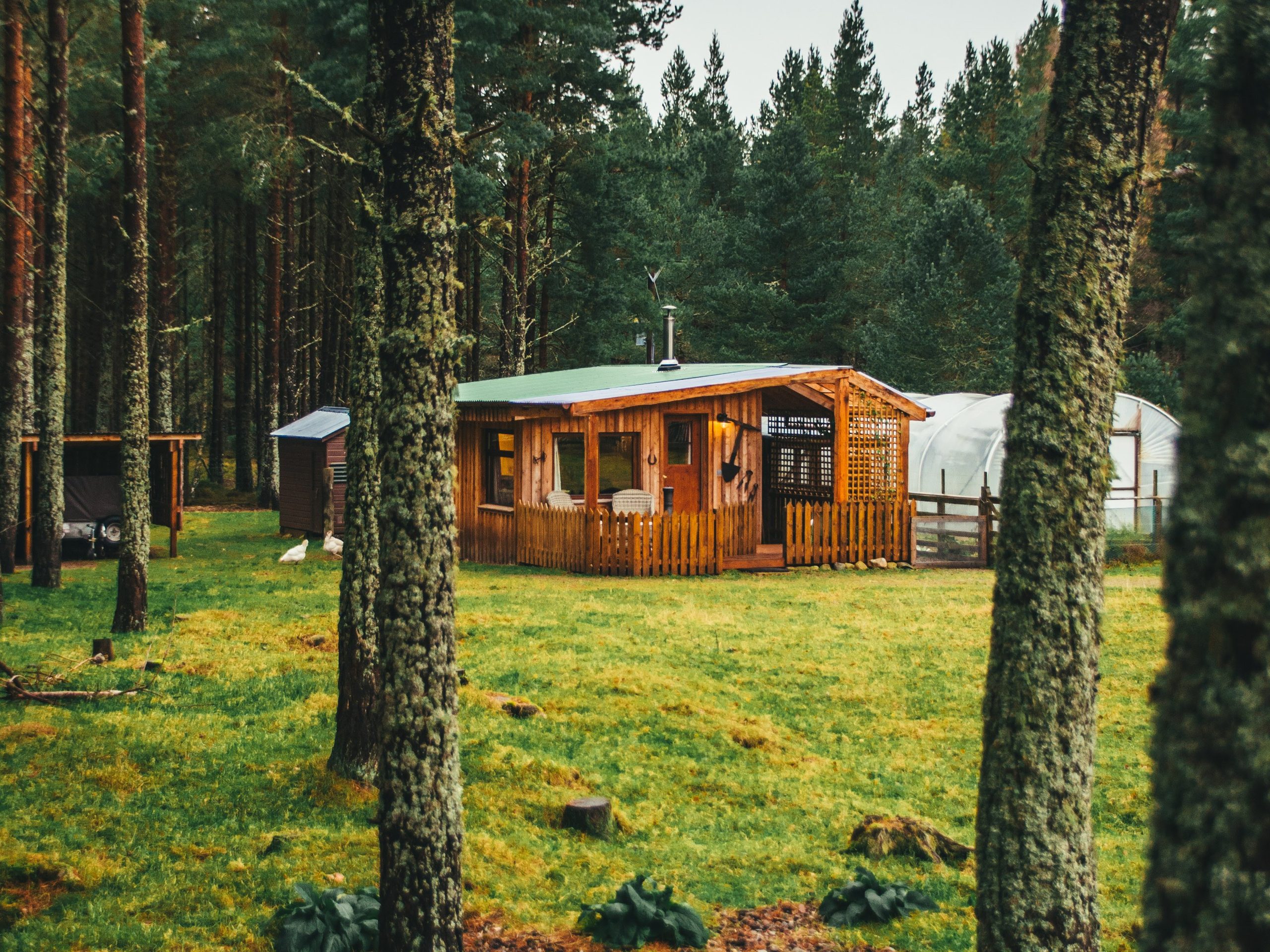The Lazy Duck - The Homestead