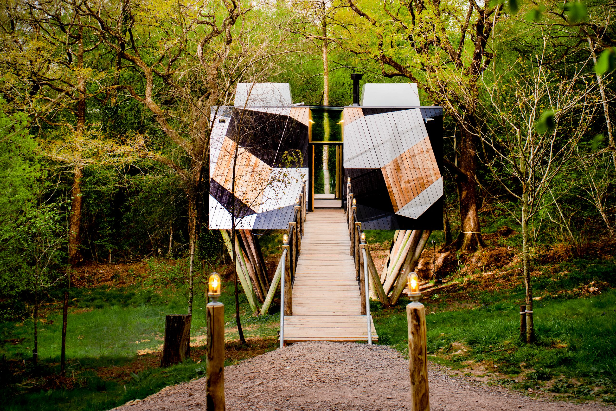 Dazzle Treehouse - Image 1