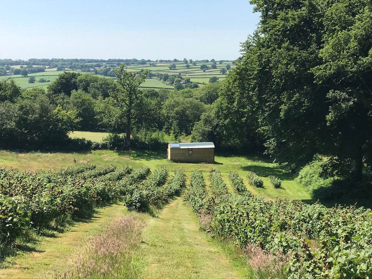 Stargazing Cabins at Royal Oak Farm