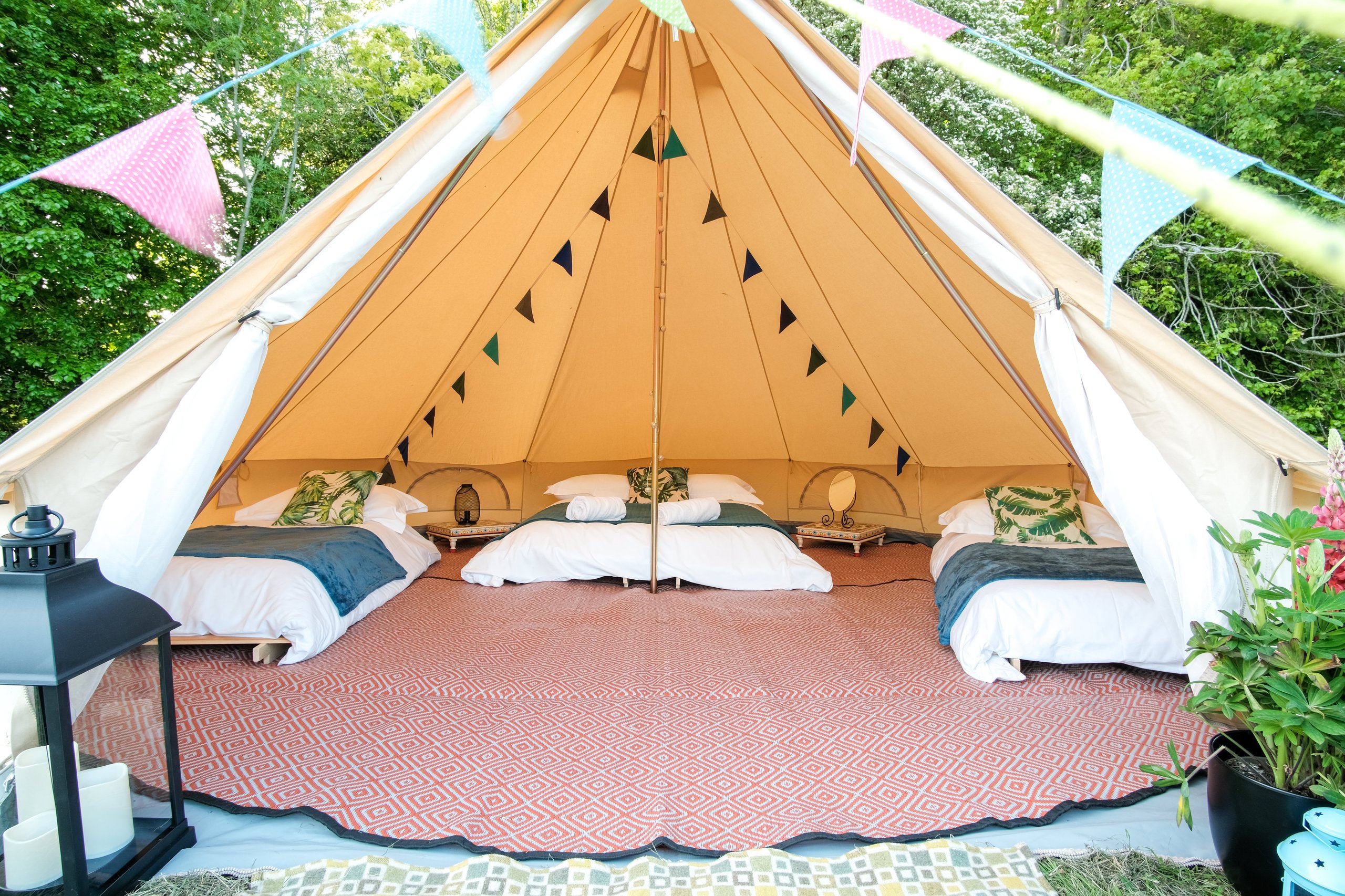 Starry Meadow Glamping