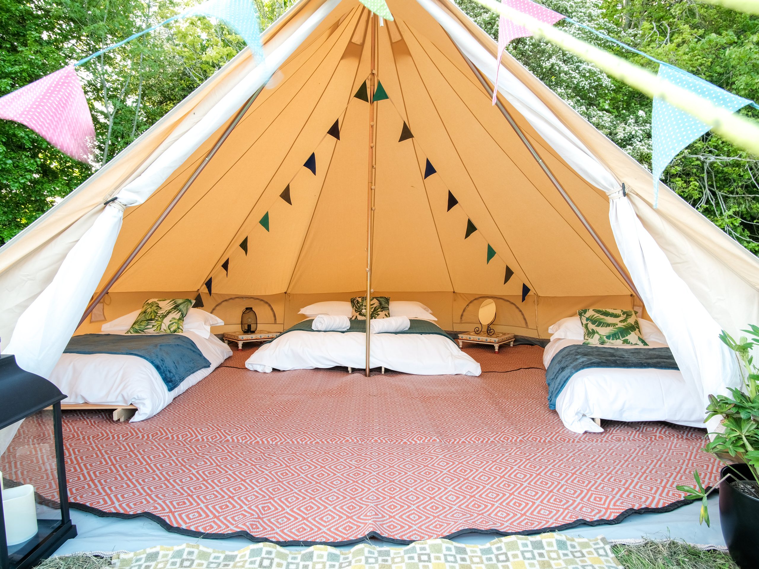 Starry Meadow Glamping