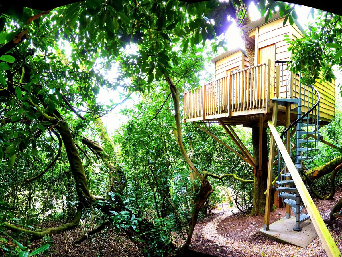 The Nest Treehouse