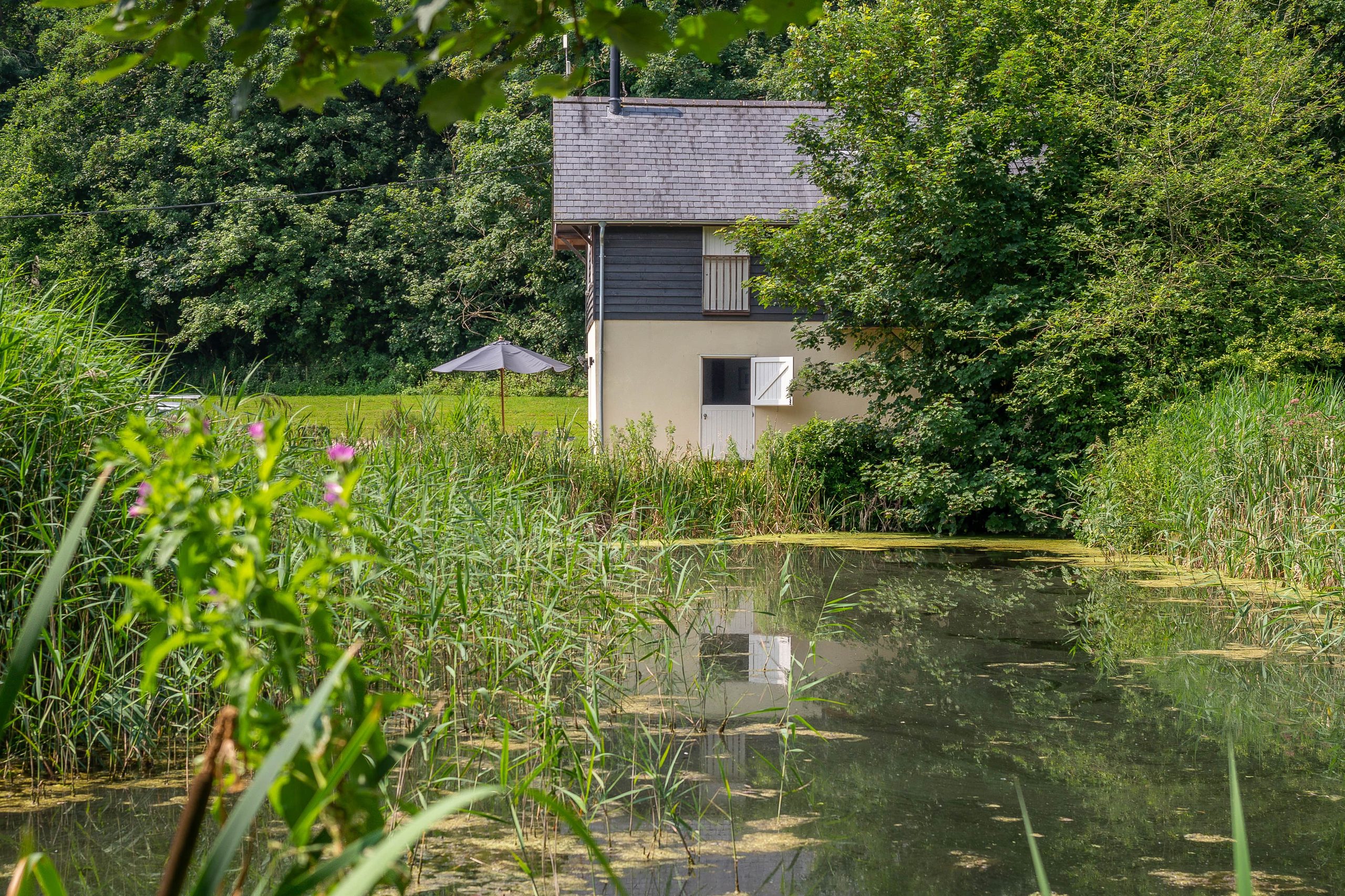 Belchamp Hall Mill - Image 1