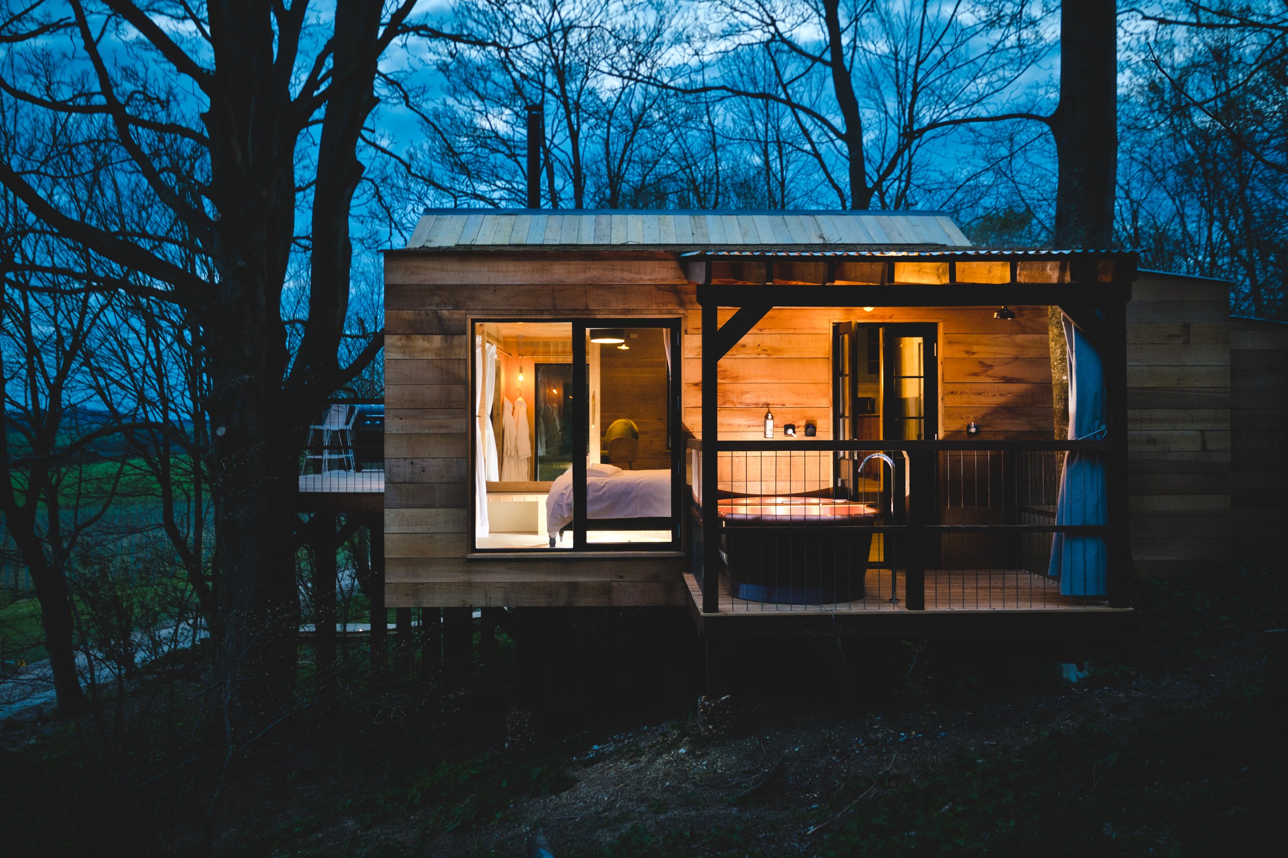 Damselfly Treehouse