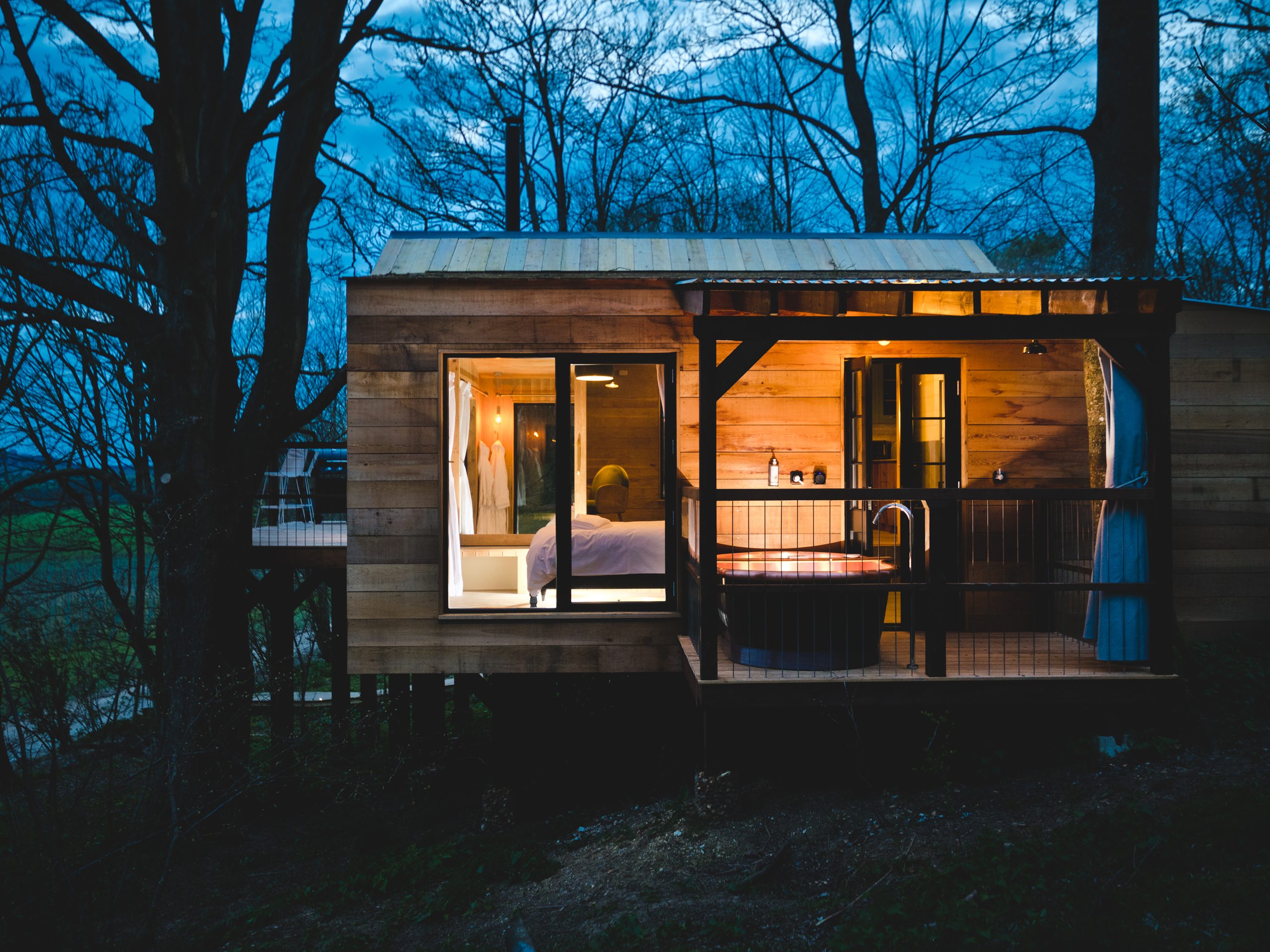 Damselfly Treehouse