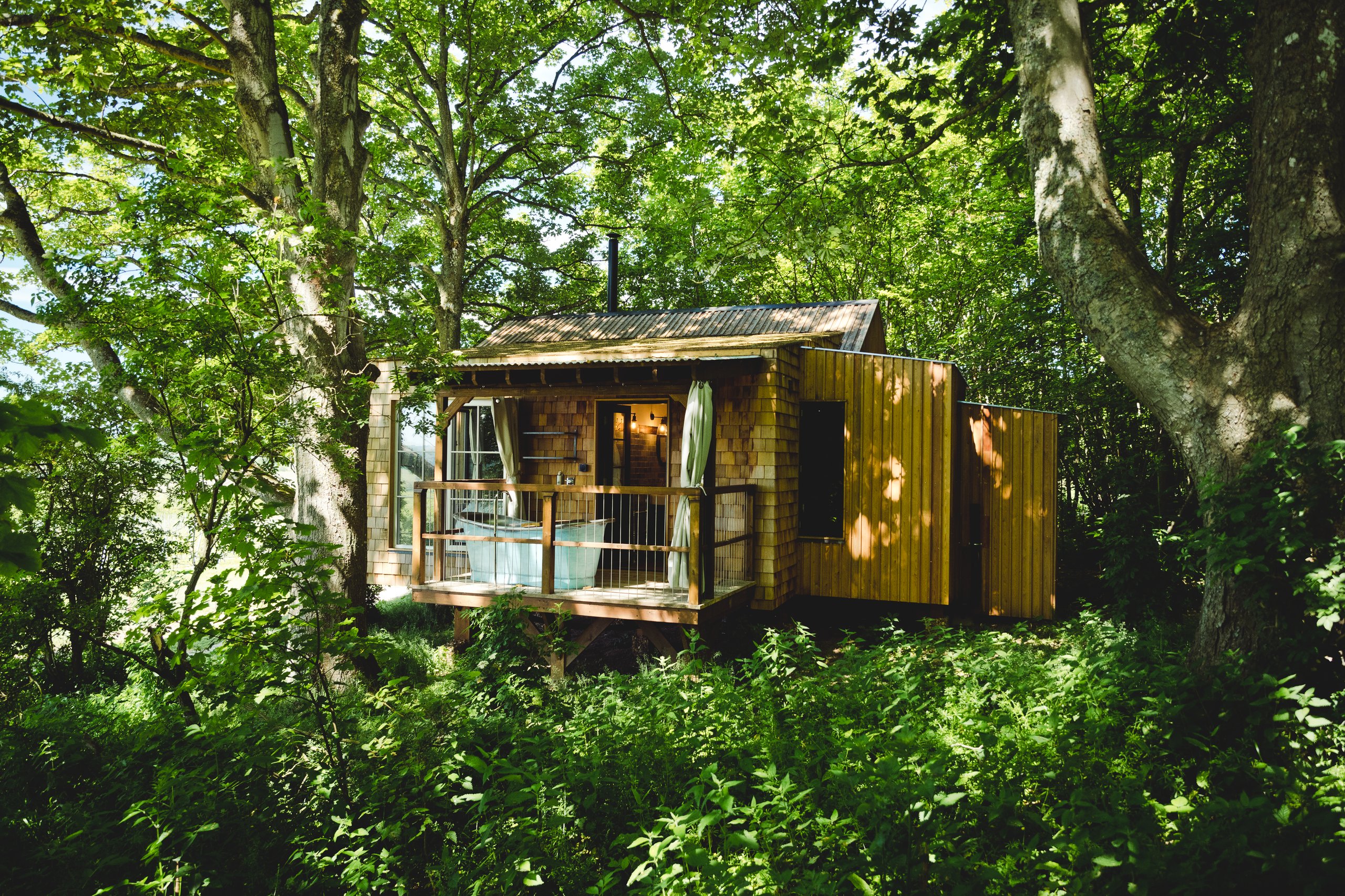 Wild Escapes - Image 1
