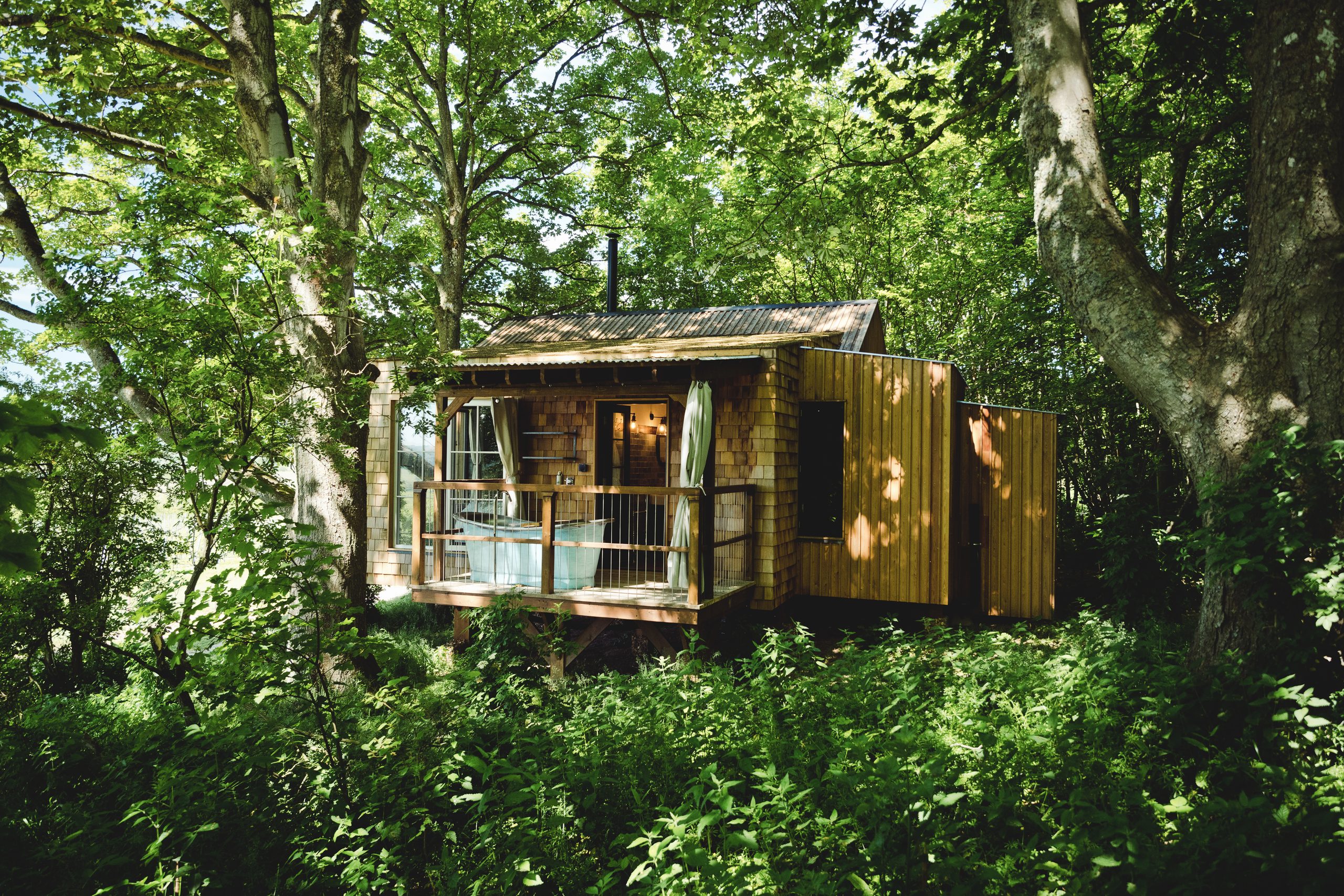 Wild Escapes - Image 1