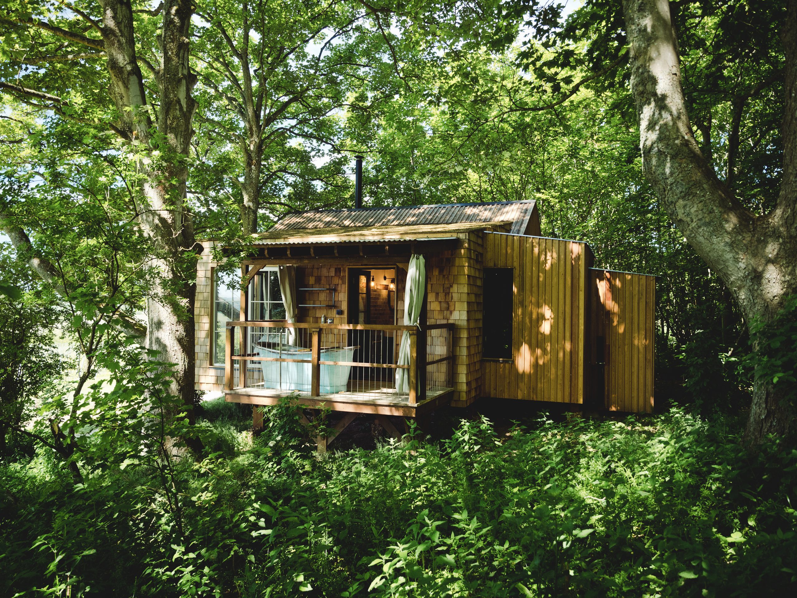 Fallow Treehouse