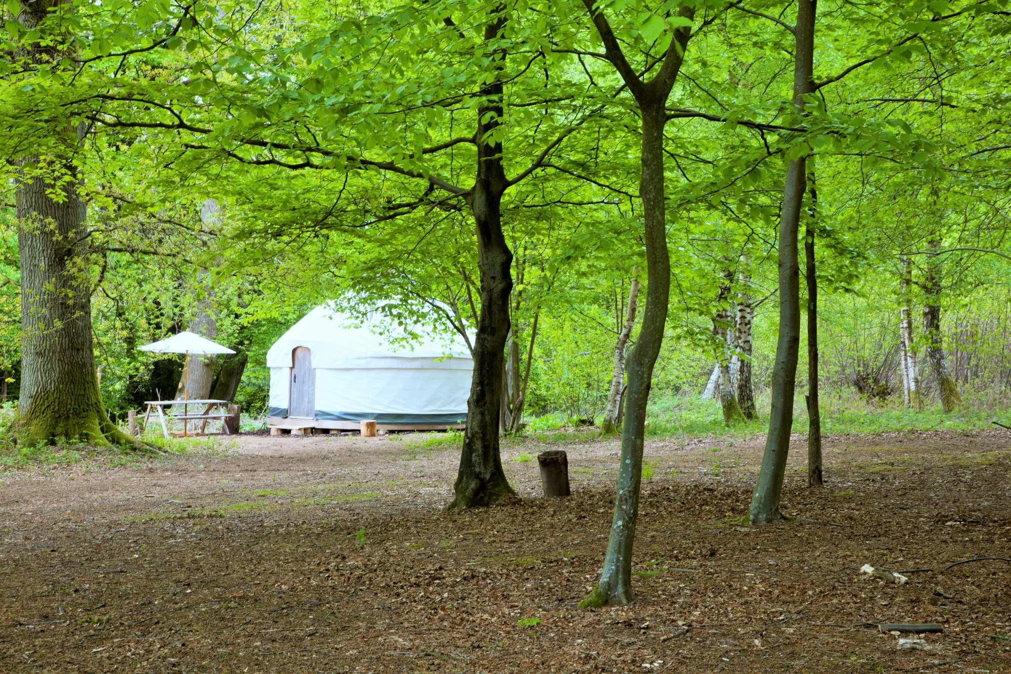 Adhurst Estate Yurts