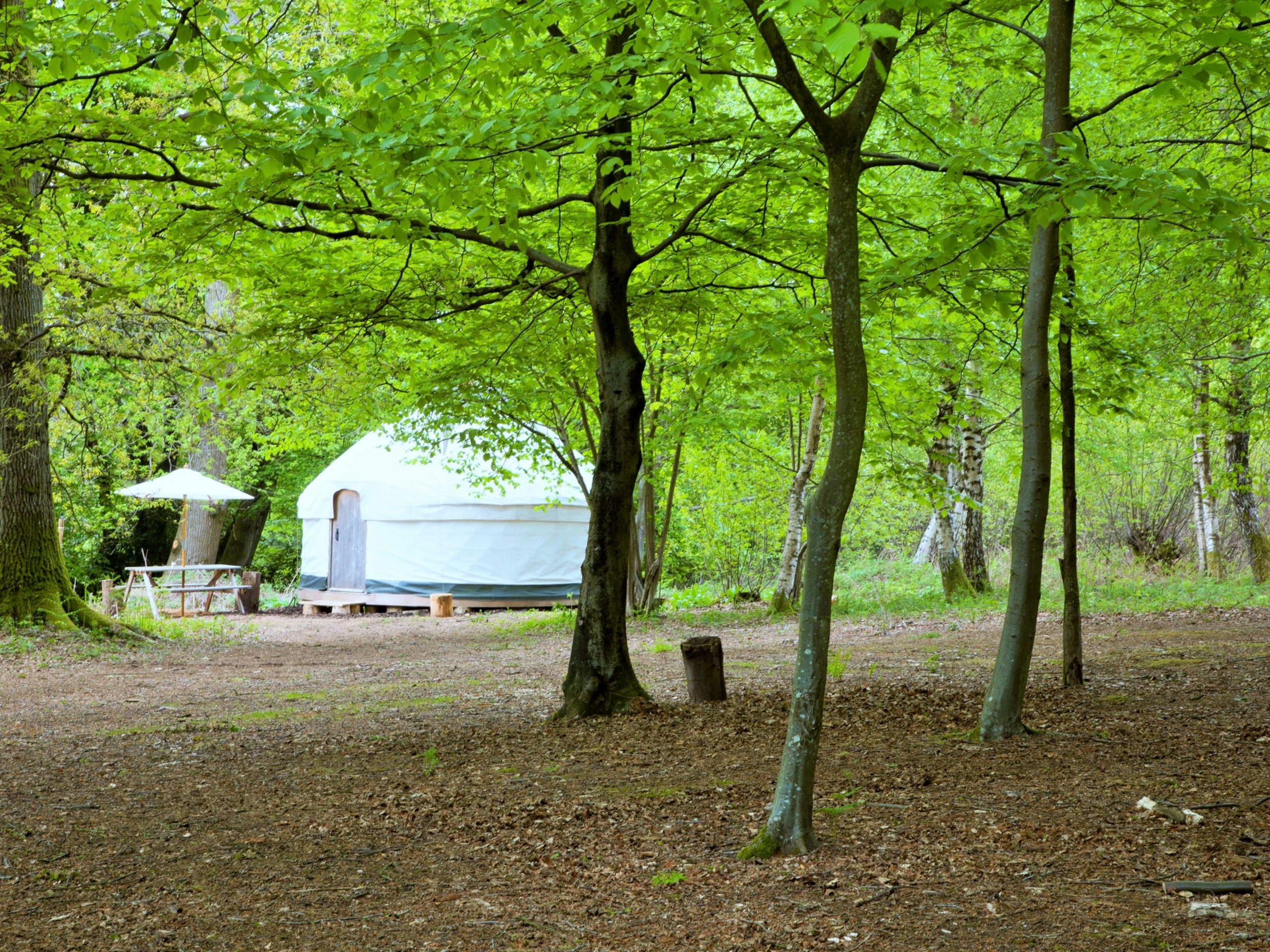 Adhurst Estate Yurts