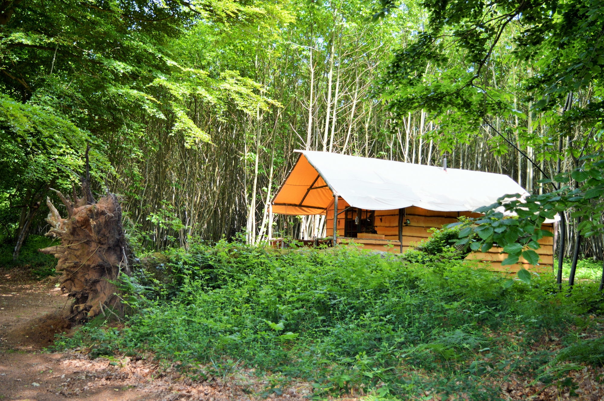 Coppicer's Lodge