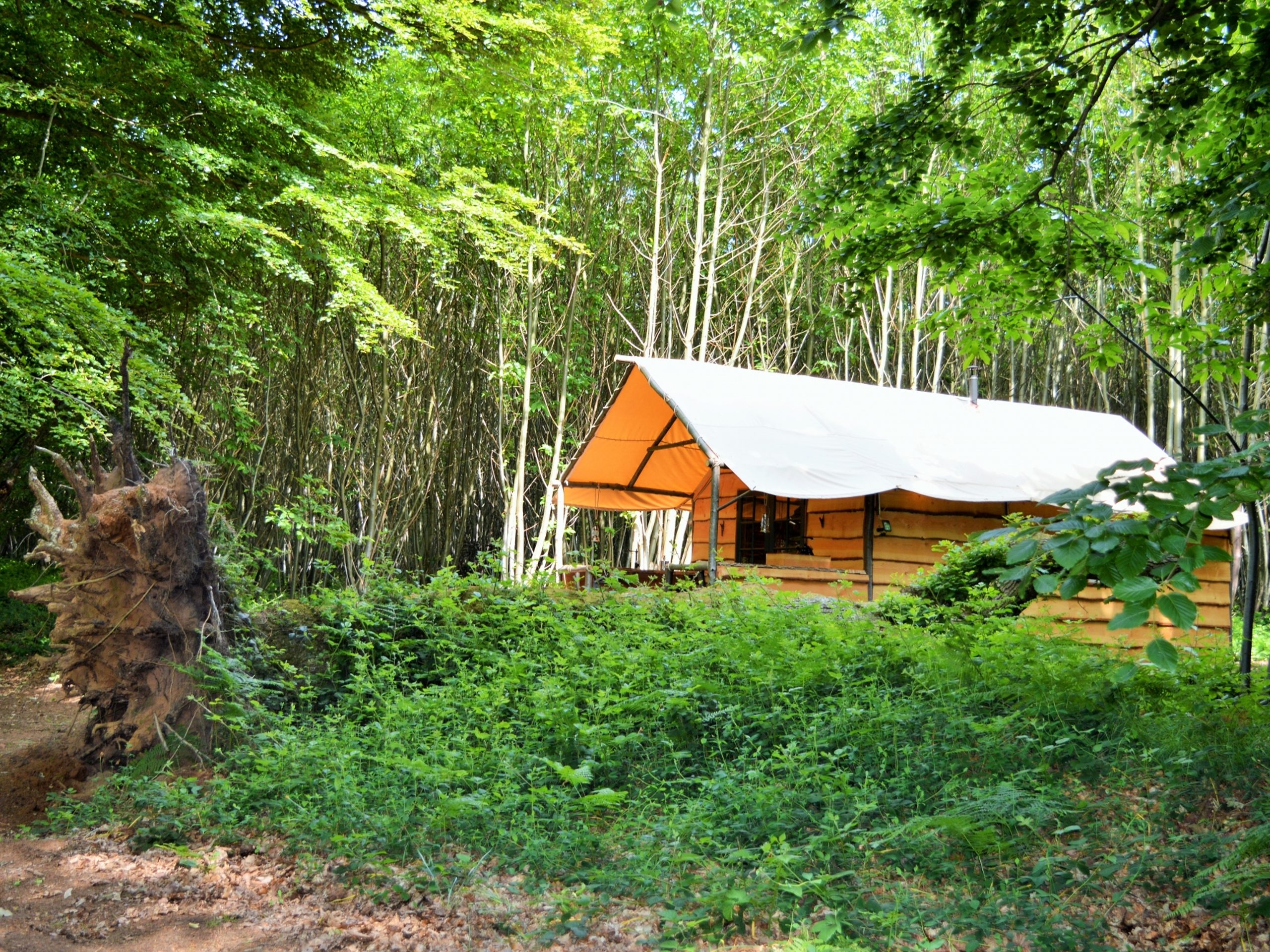 Coppicer's Lodge