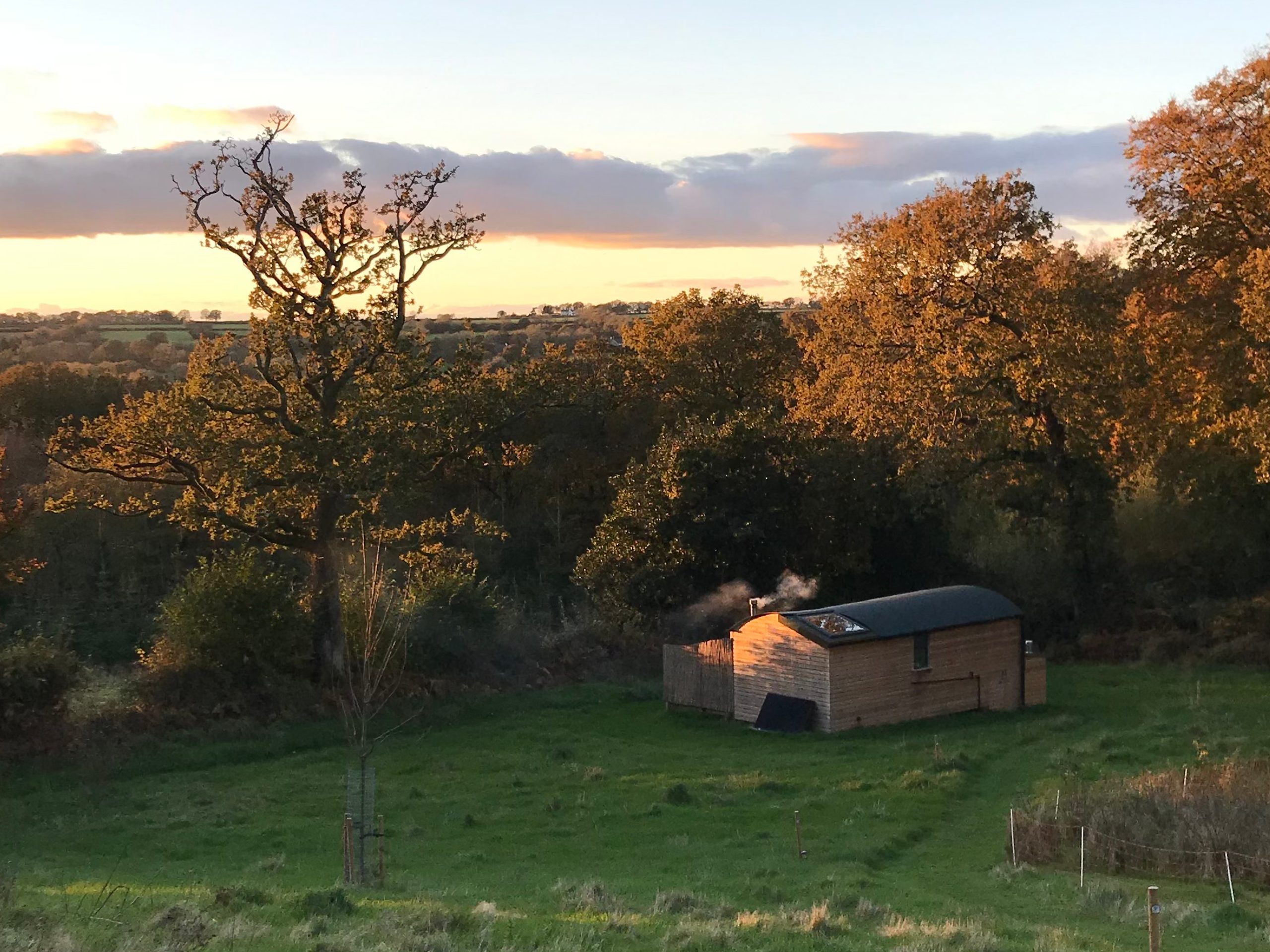 Stargazing Cabins at Royal Oak Farm