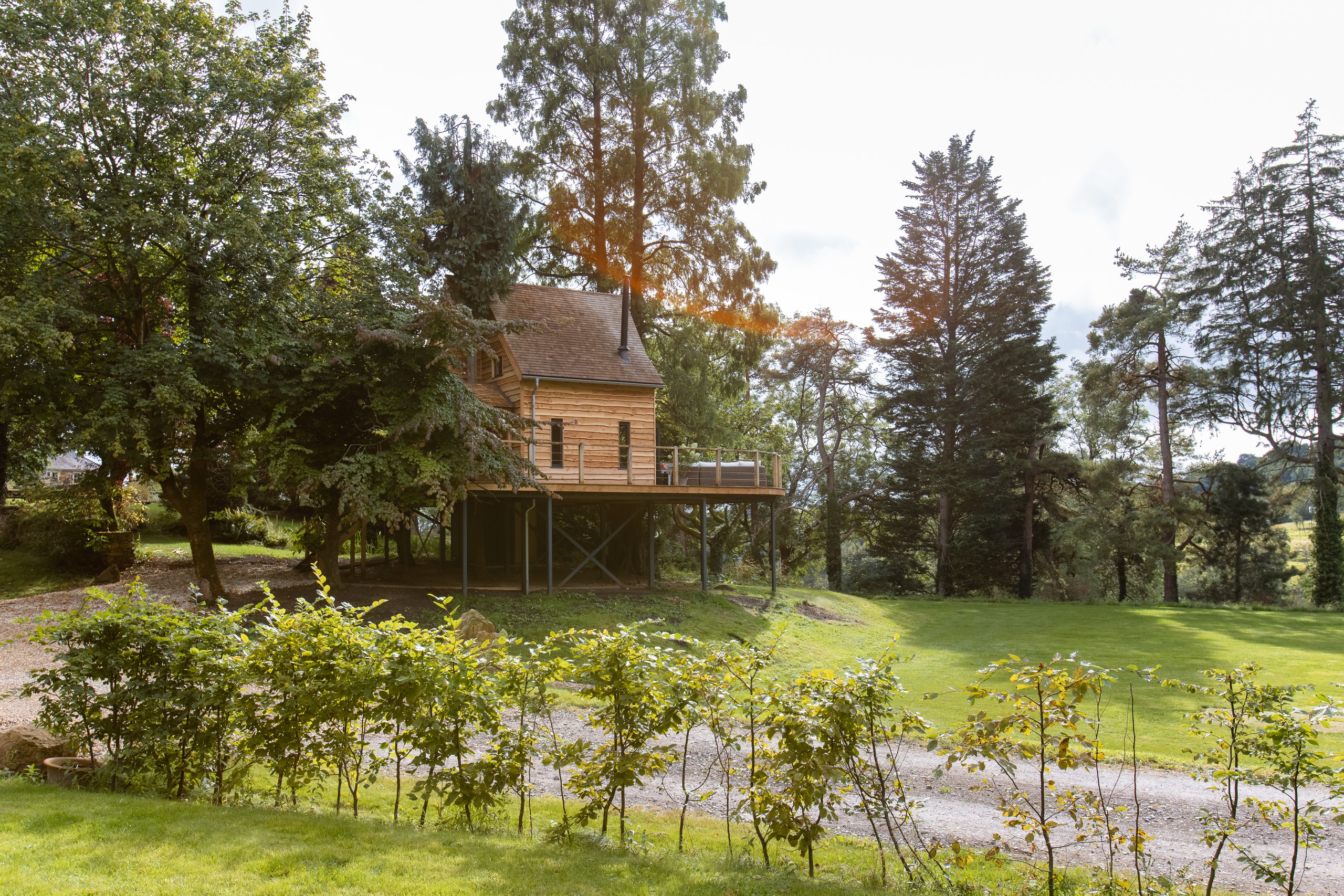 The Tree House