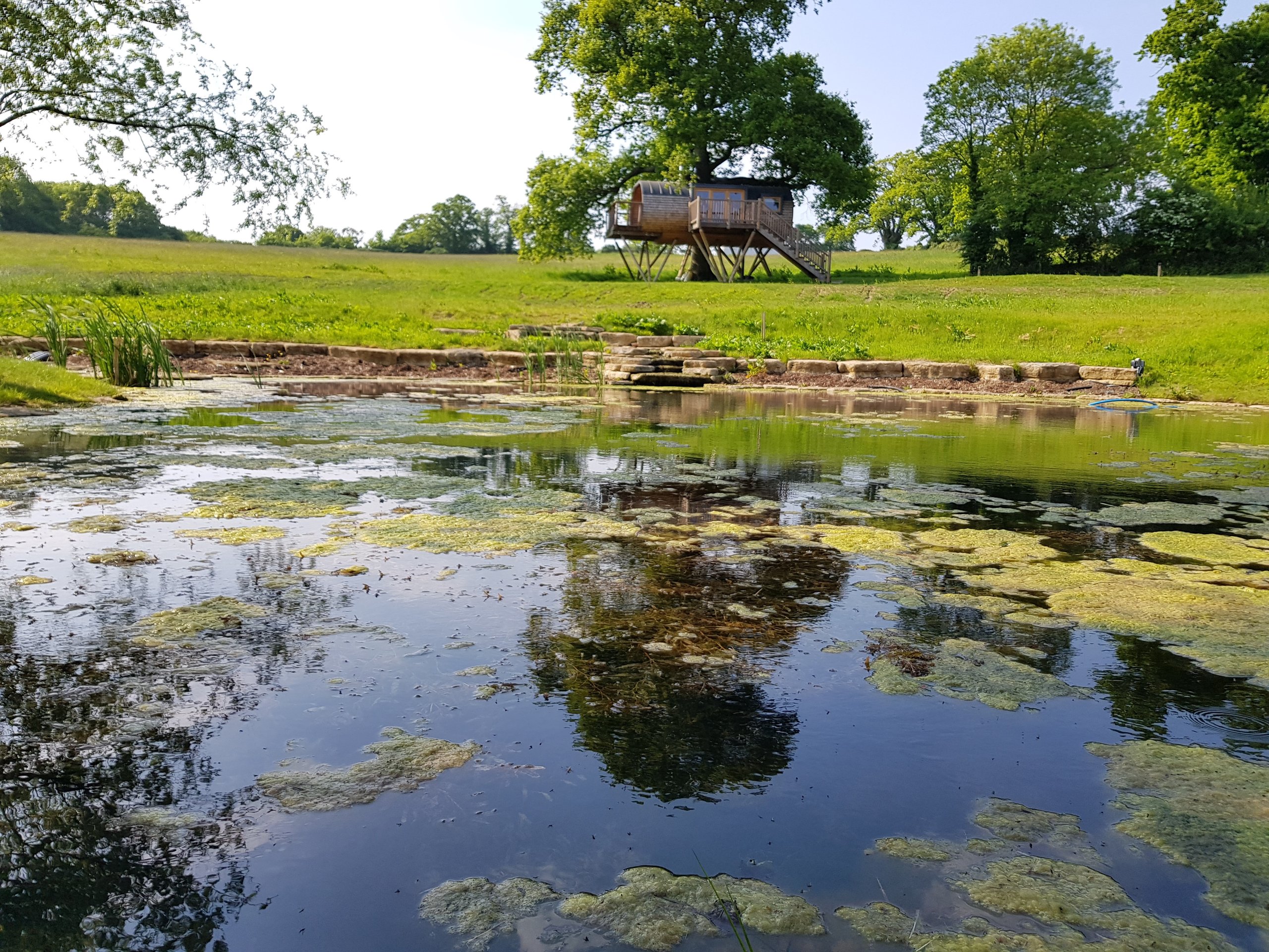 The Cheriton Treehouse
