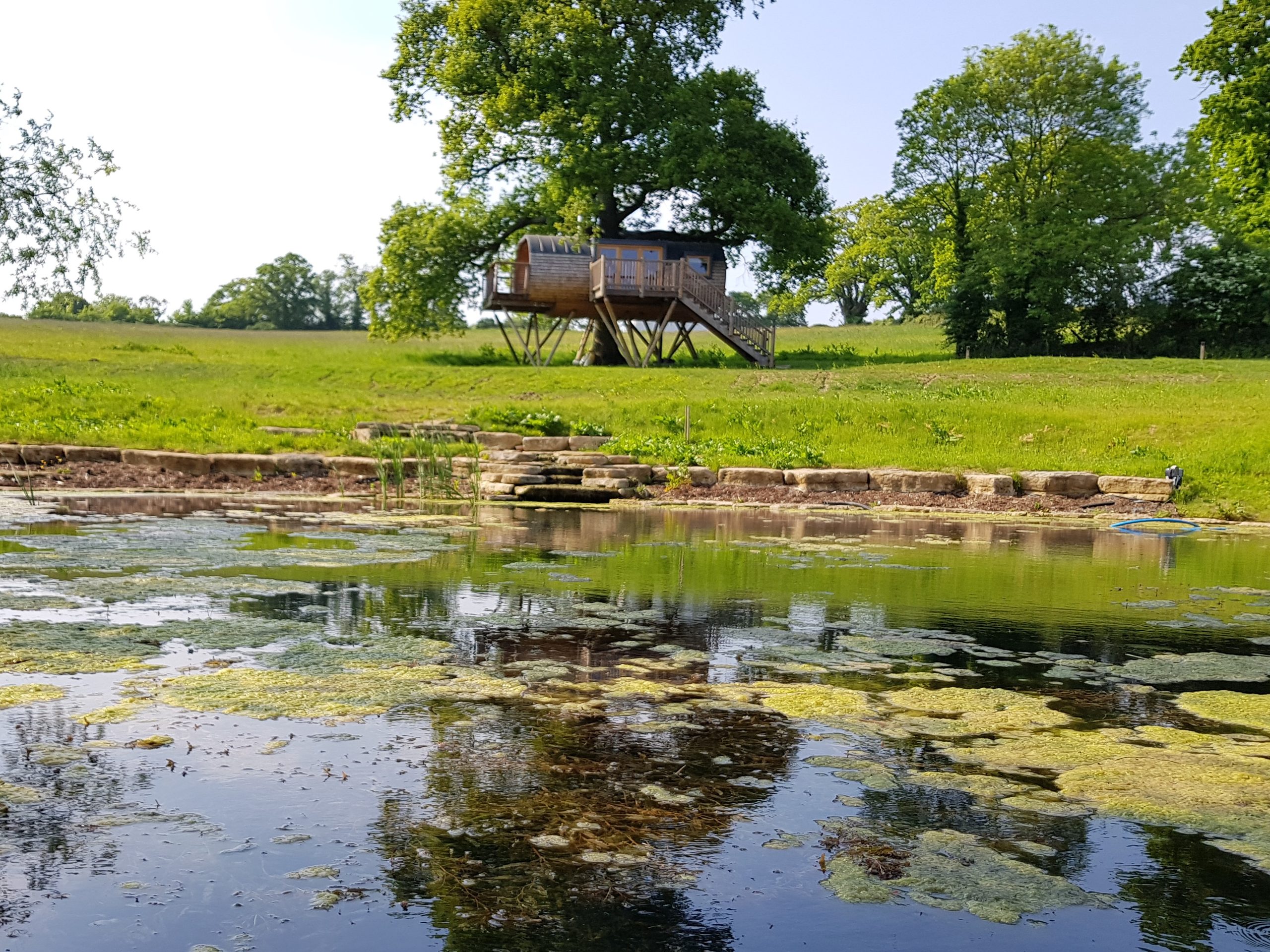 The Cheriton Treehouse