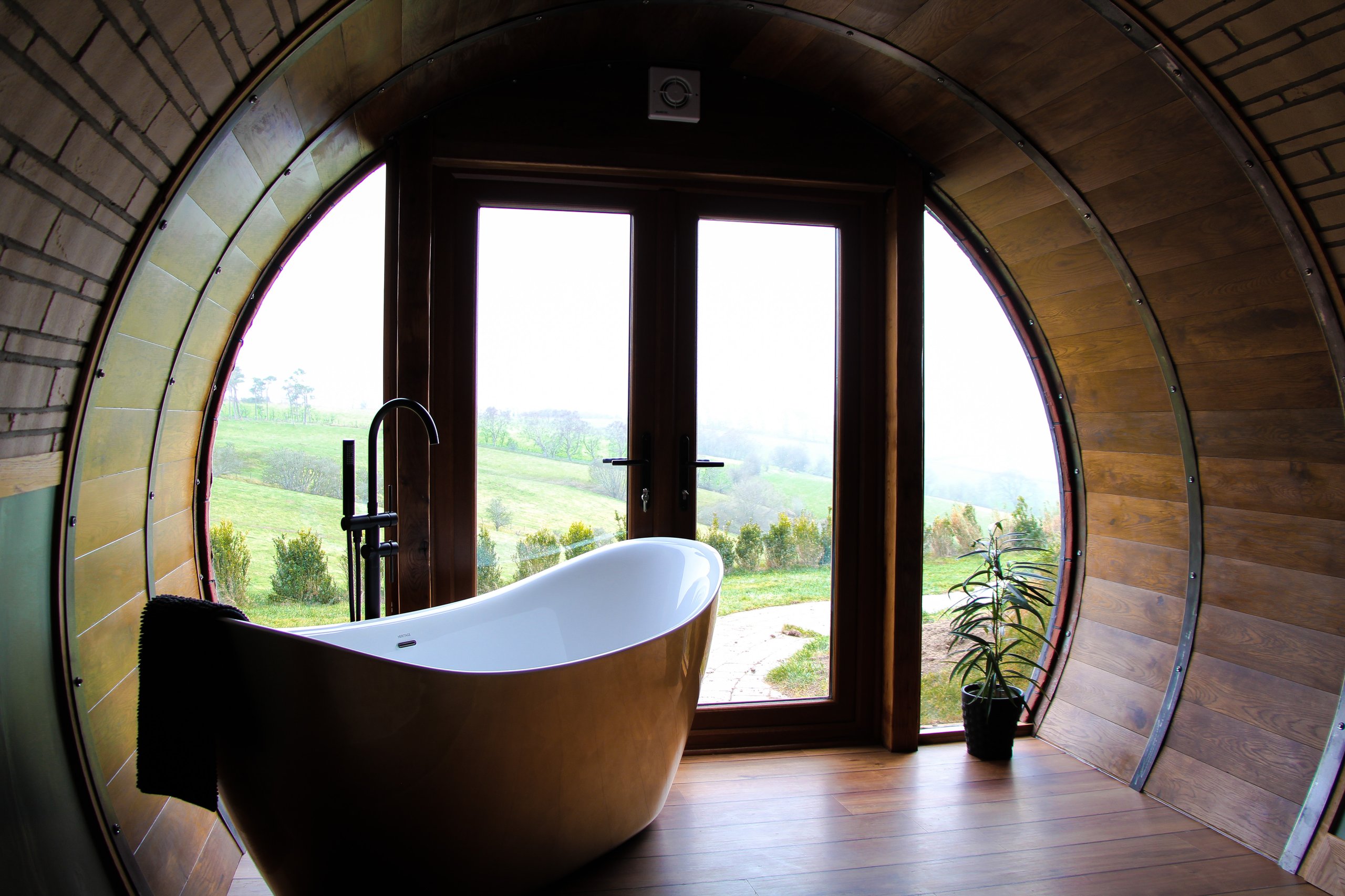 Hedgehog's View