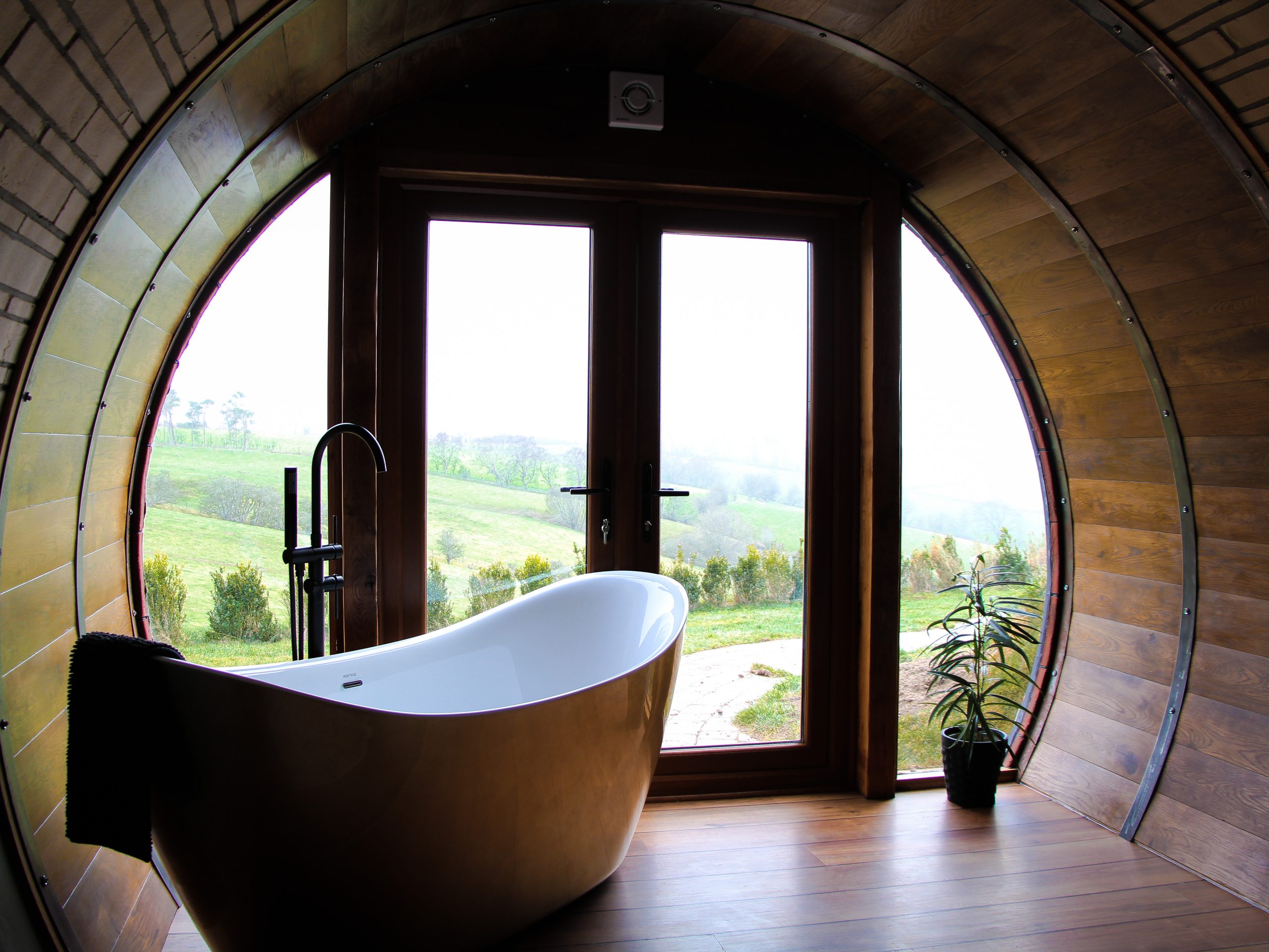 Hedgehog's View