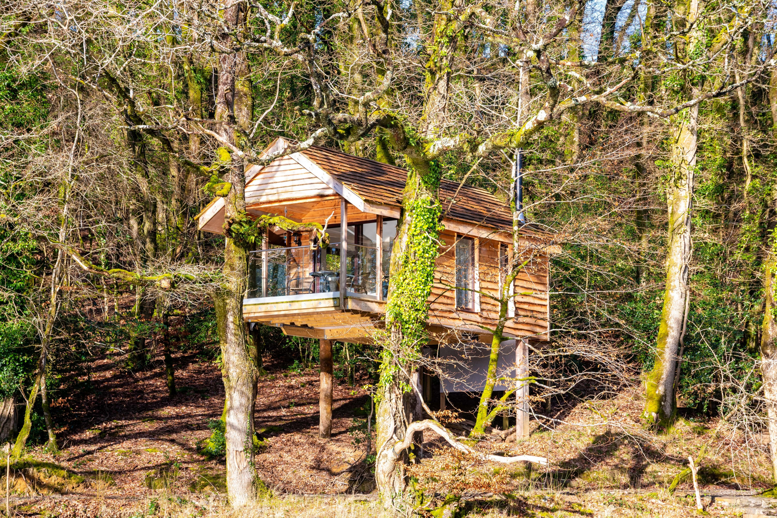 Yeworthy Eco Treehouse