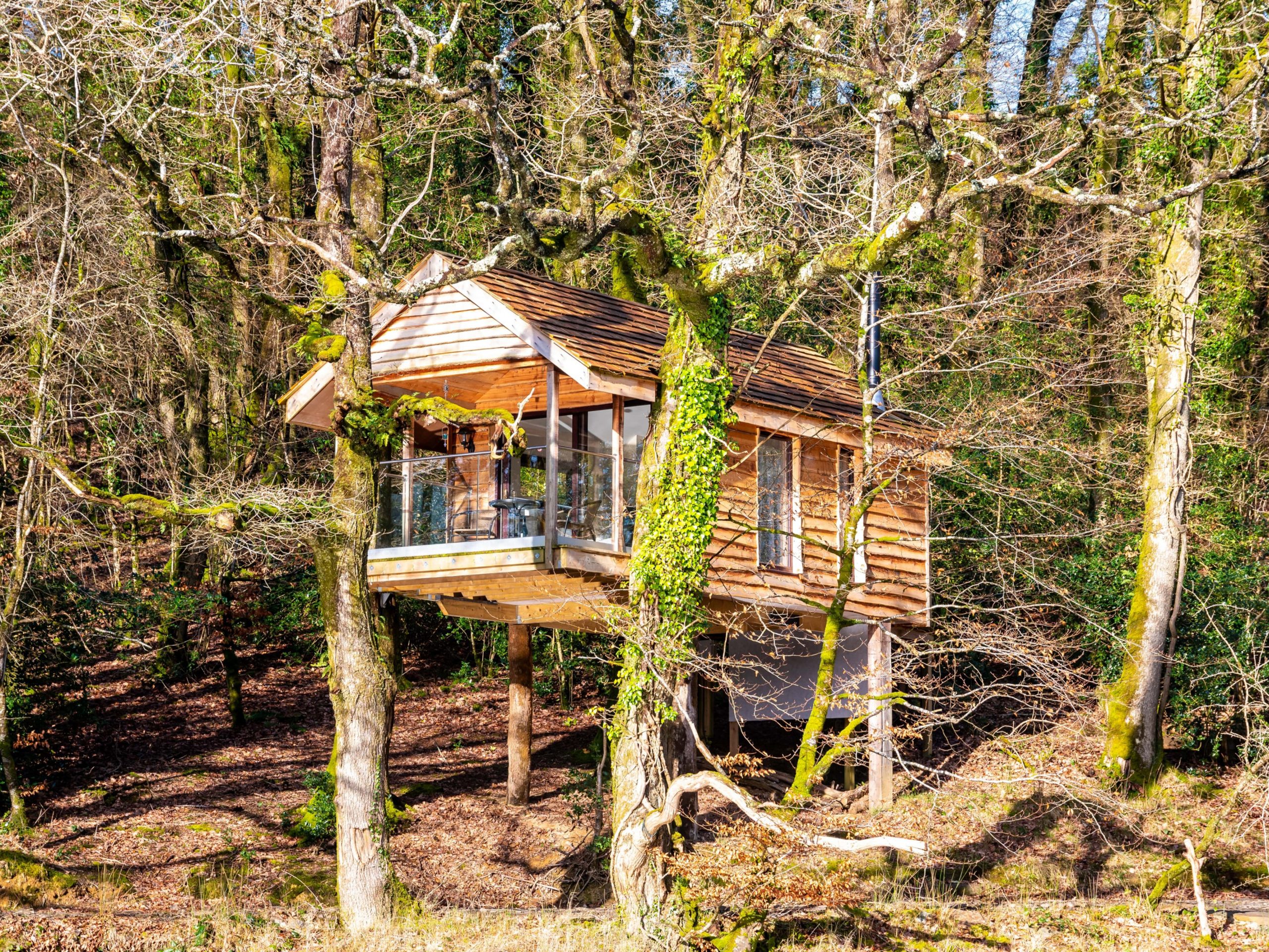 Yeworthy Eco Treehouse