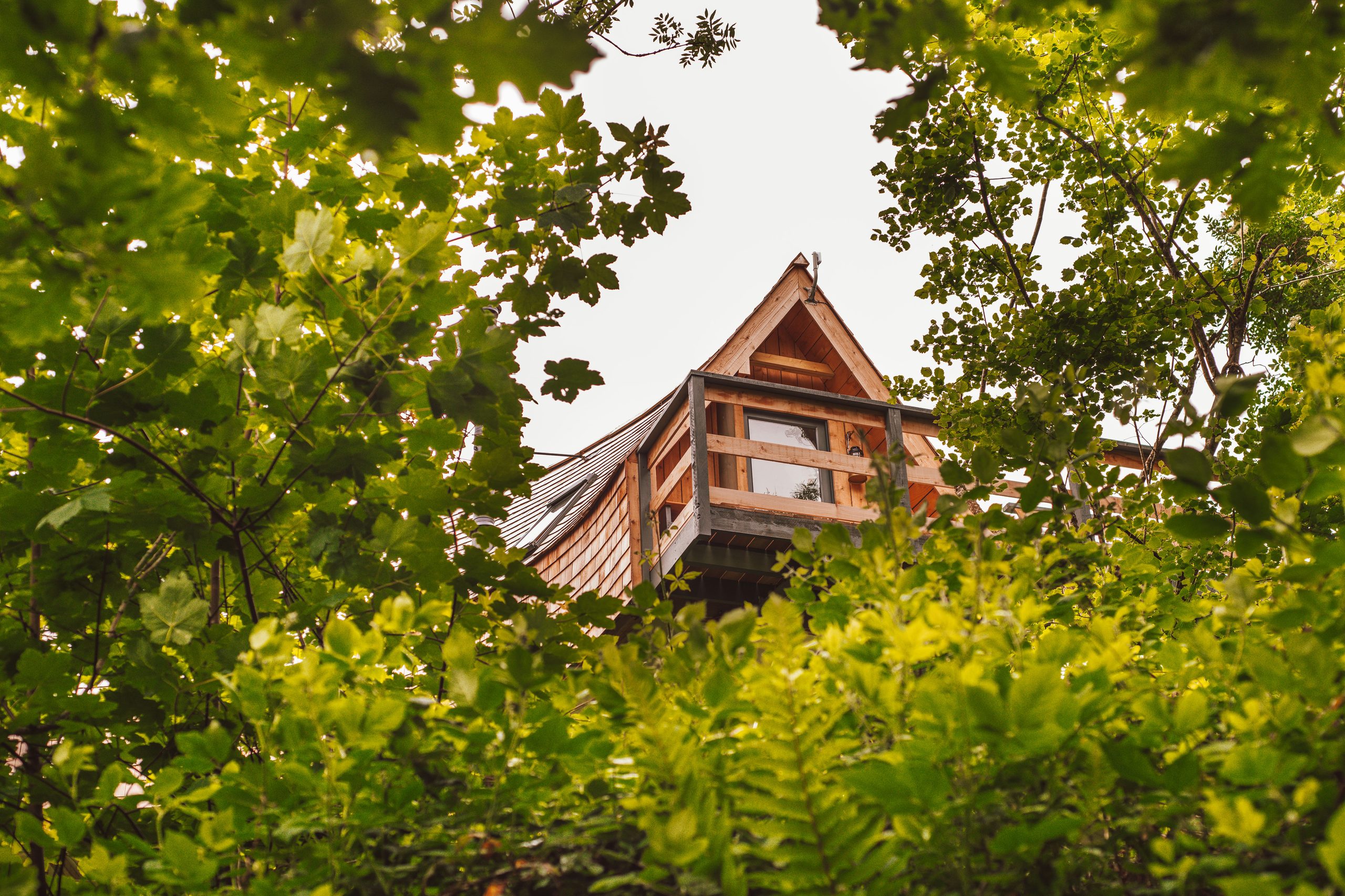Skapya Treehouse - Image 1