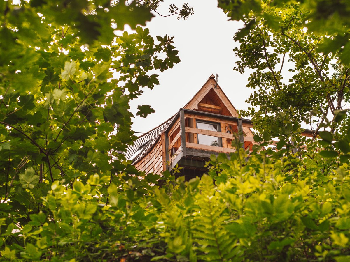 Skapya Treehouse