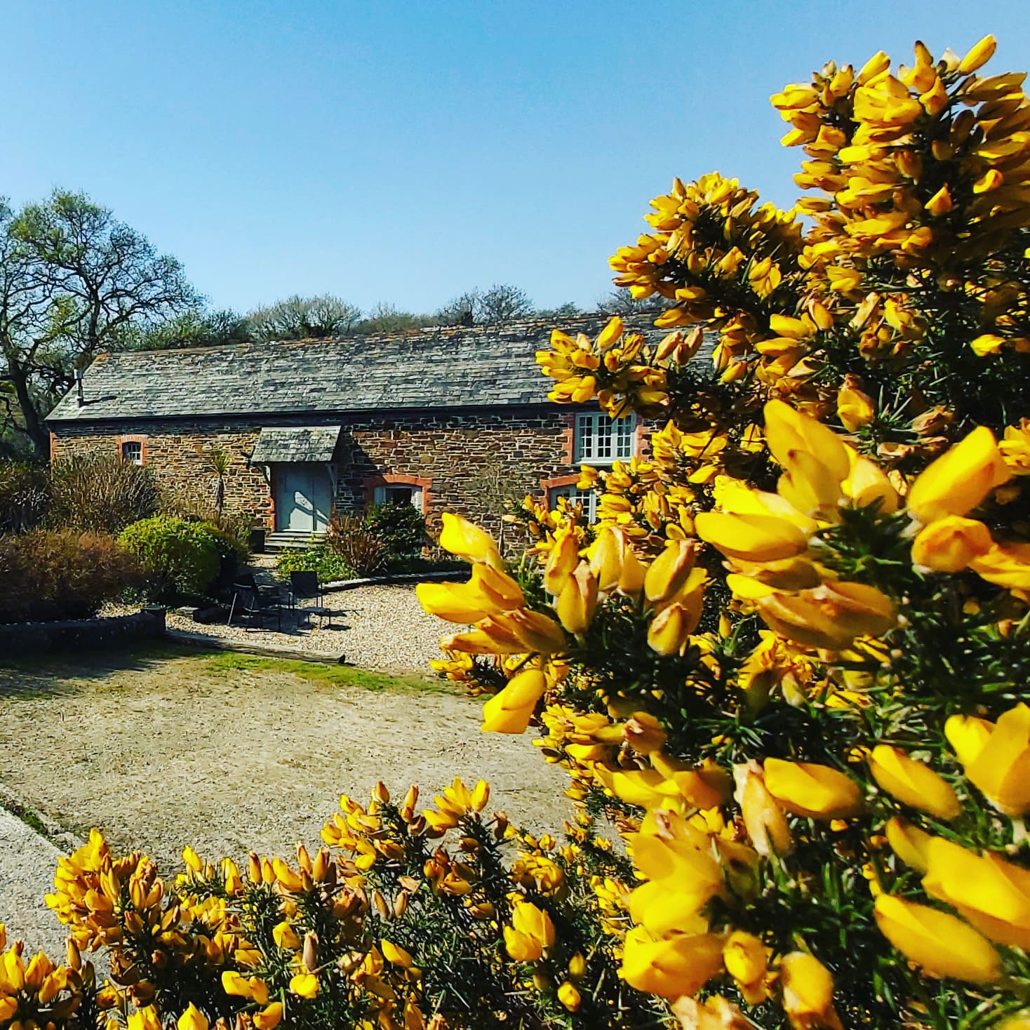 The Mill