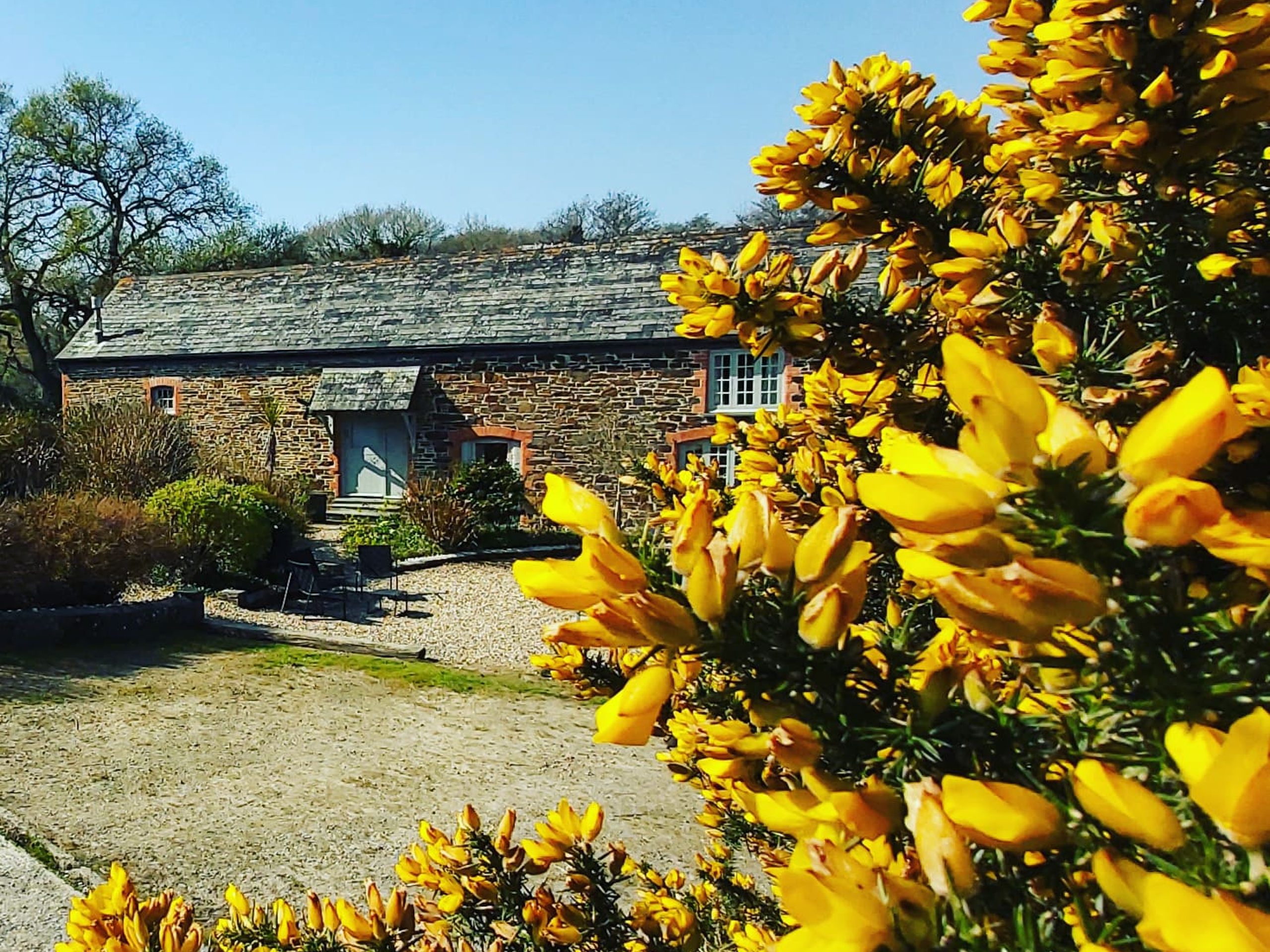 The Mill