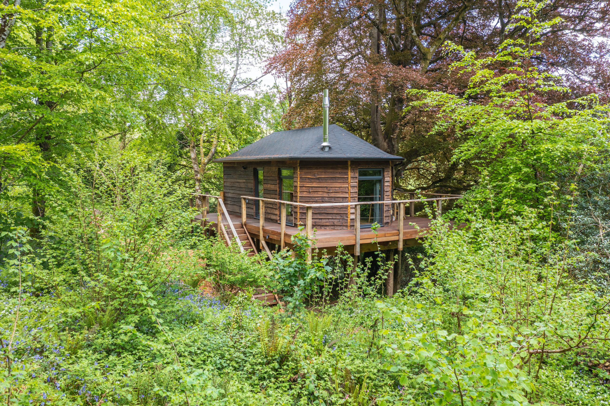 Cornish Treehouse - Image 1