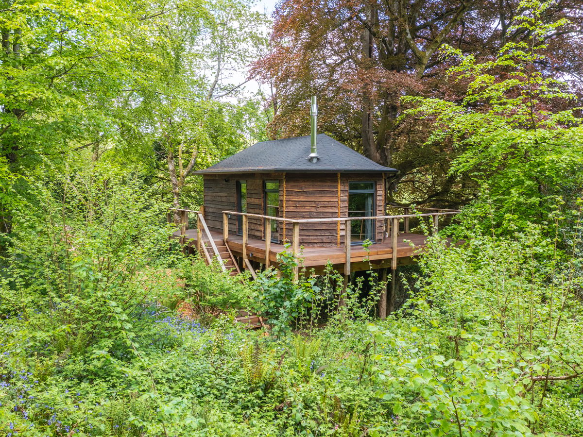 Cornish Treehouse