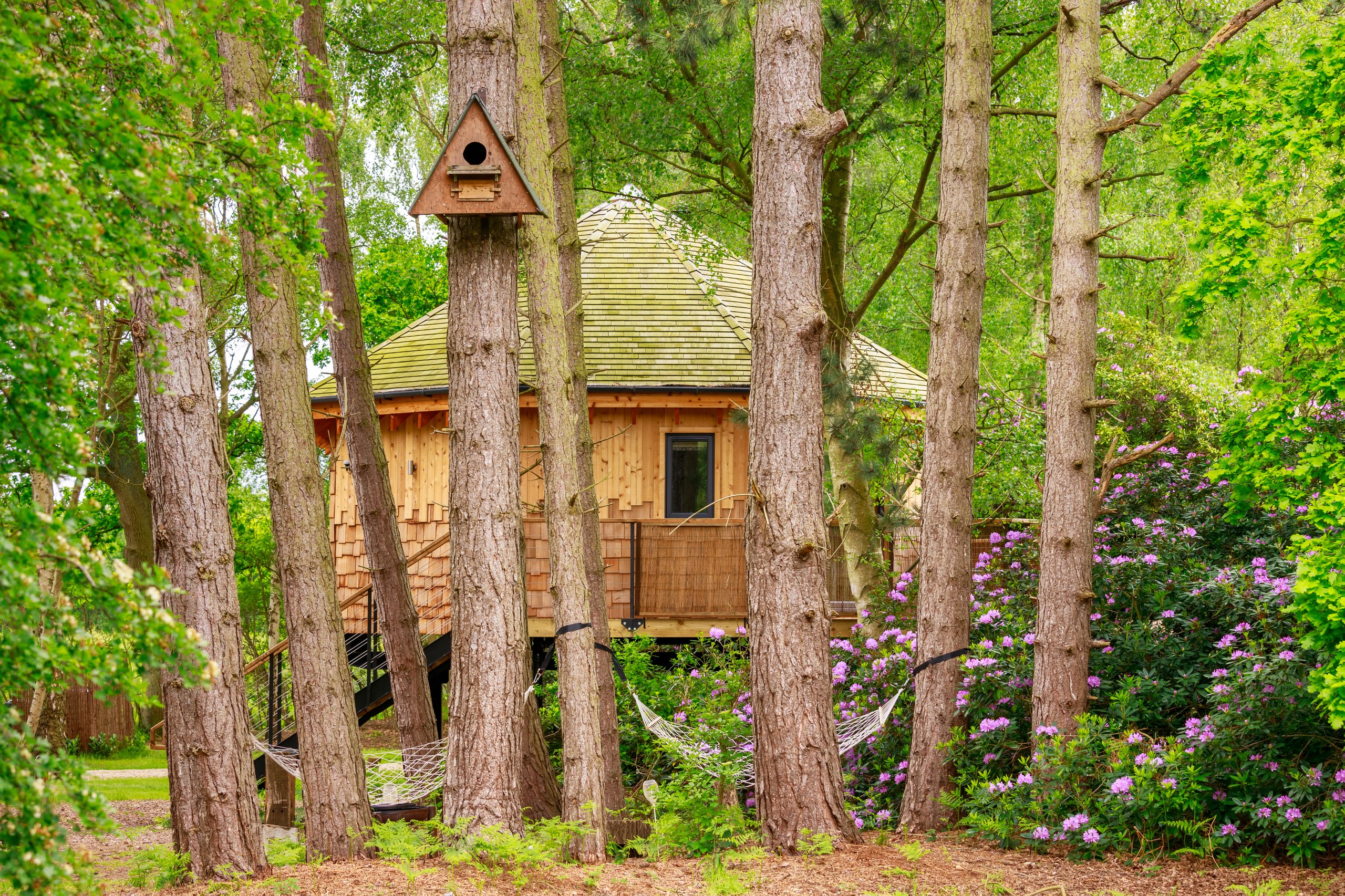 Treetop Hideaways