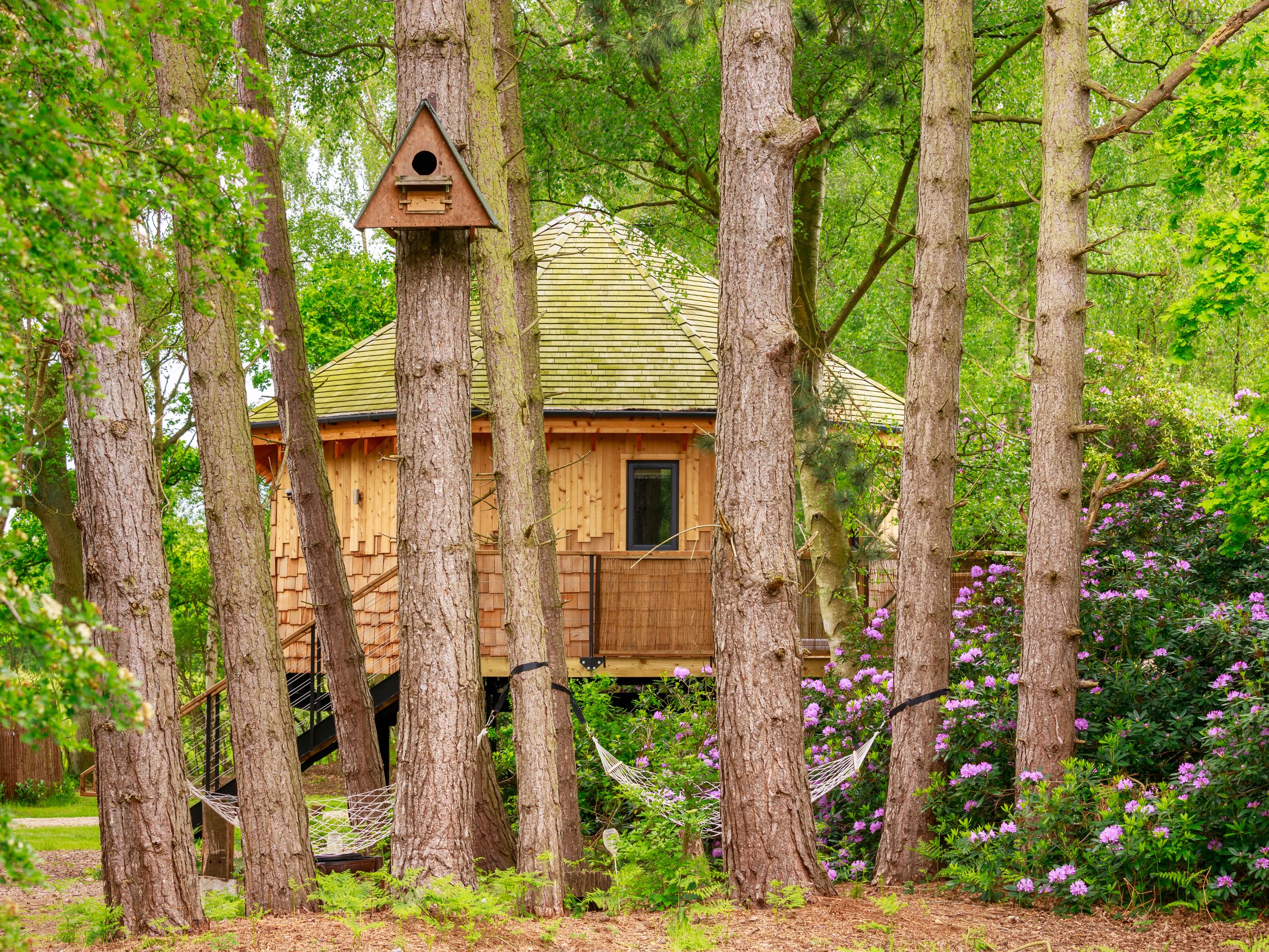 Treetop Hideaways