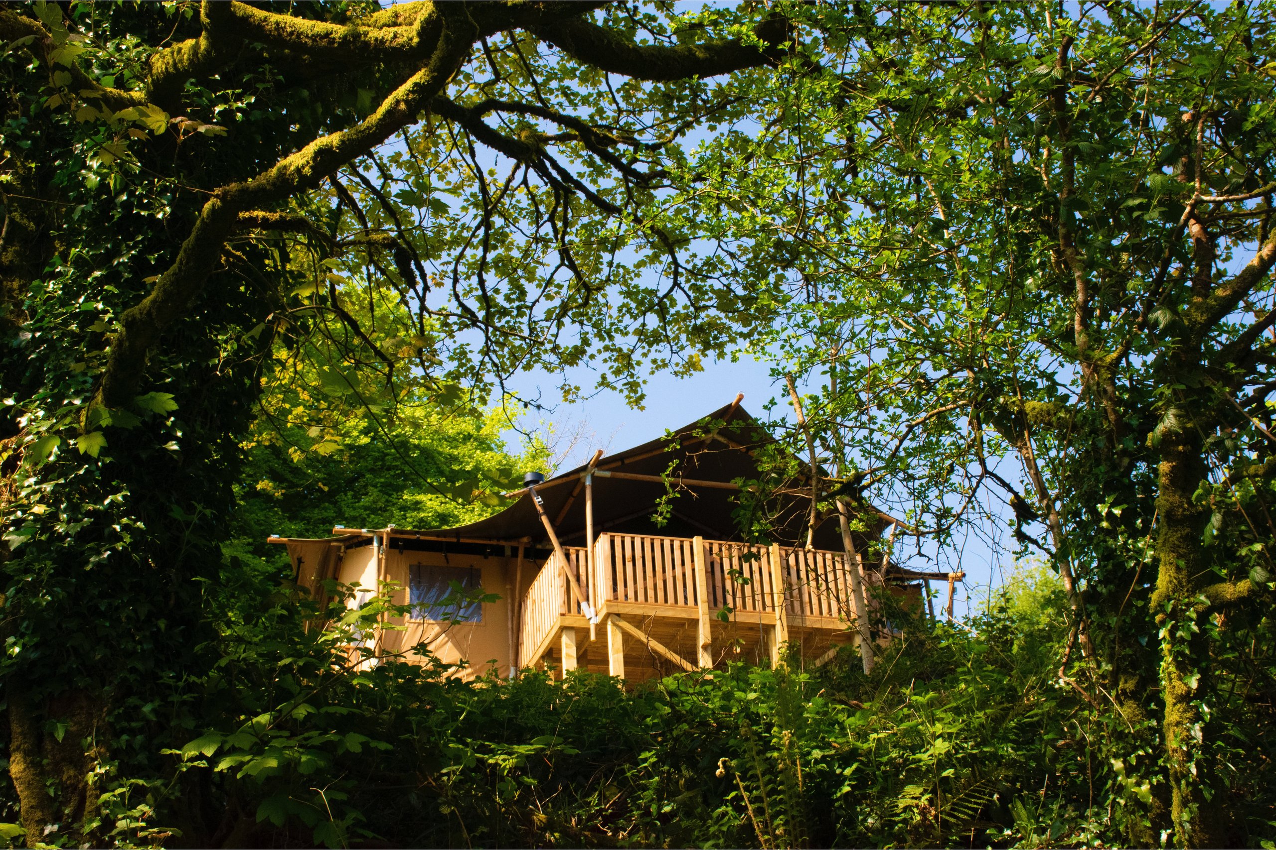 Cornwall Safari Tents
