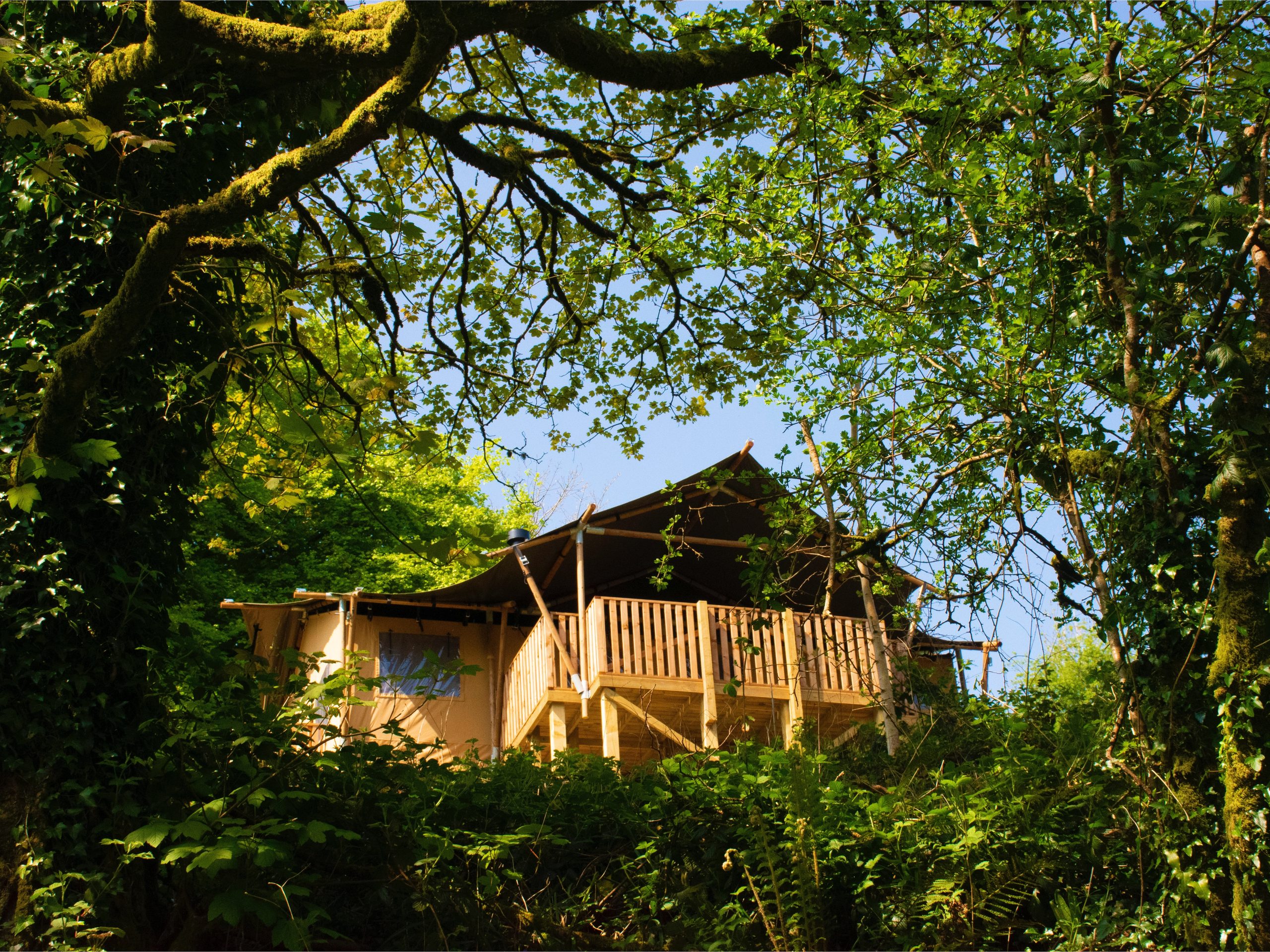 Cornwall Safari Tents