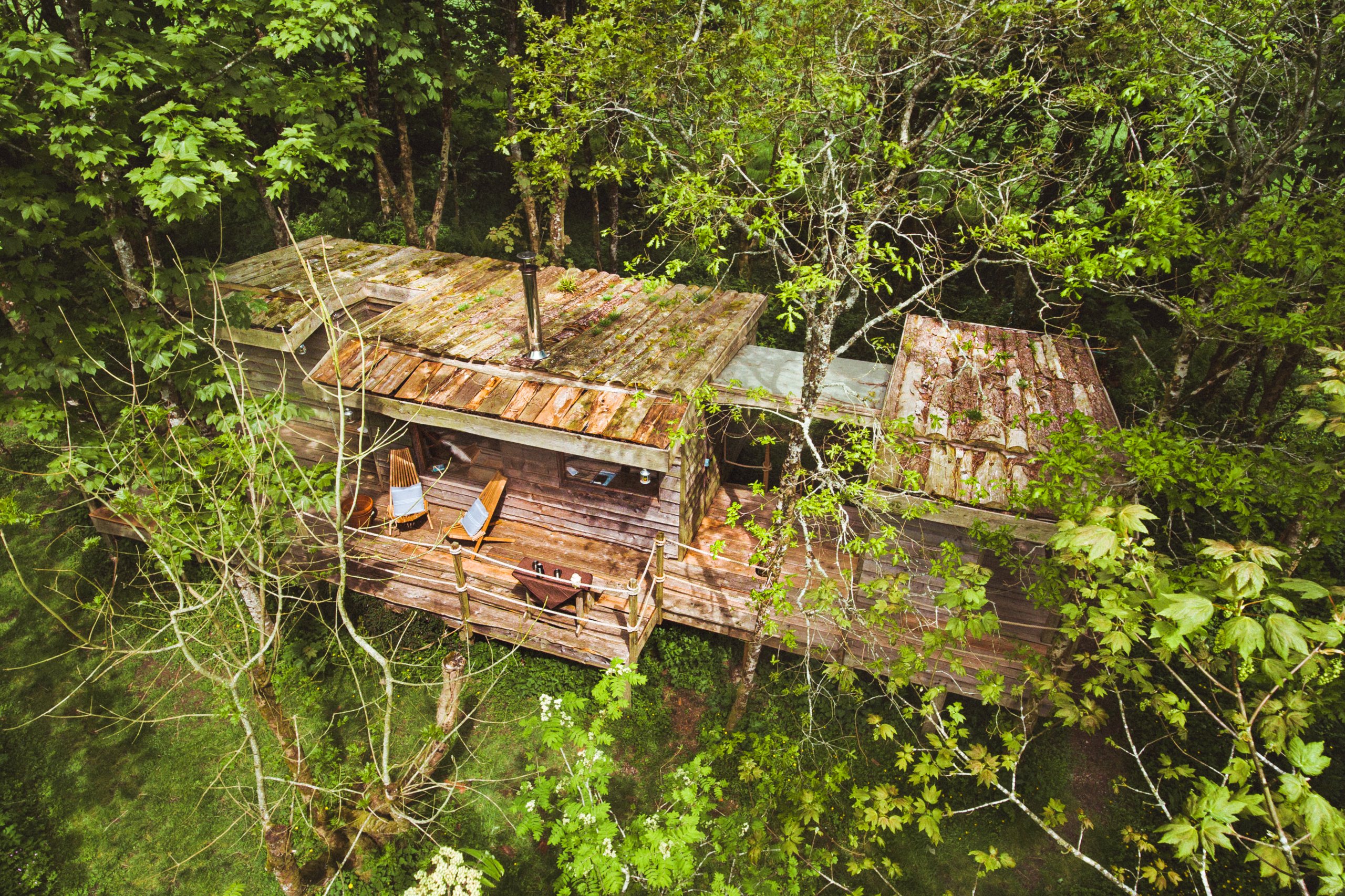 Log Jam