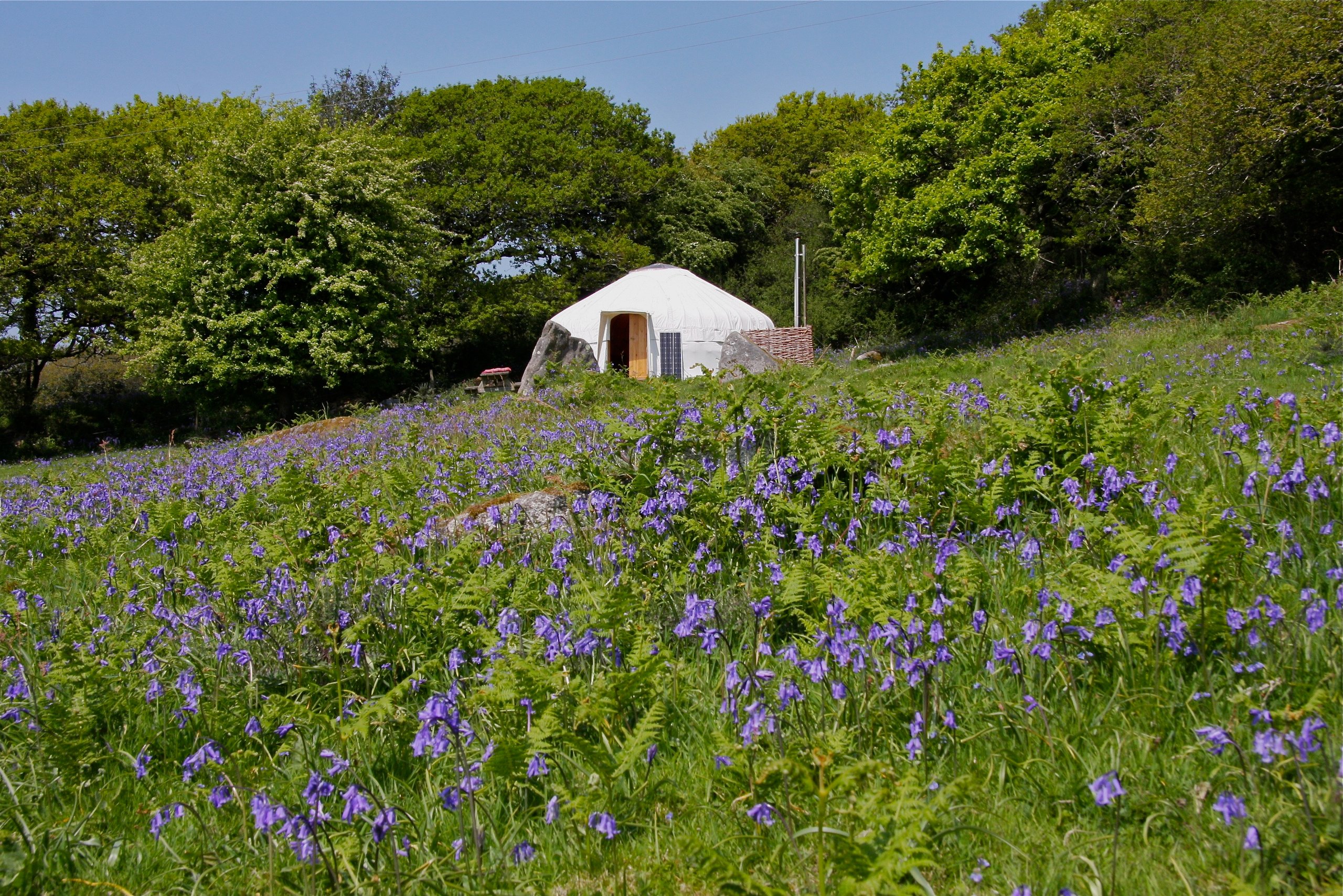 The Ash Field Yurt - Cornish Yurt Holidays