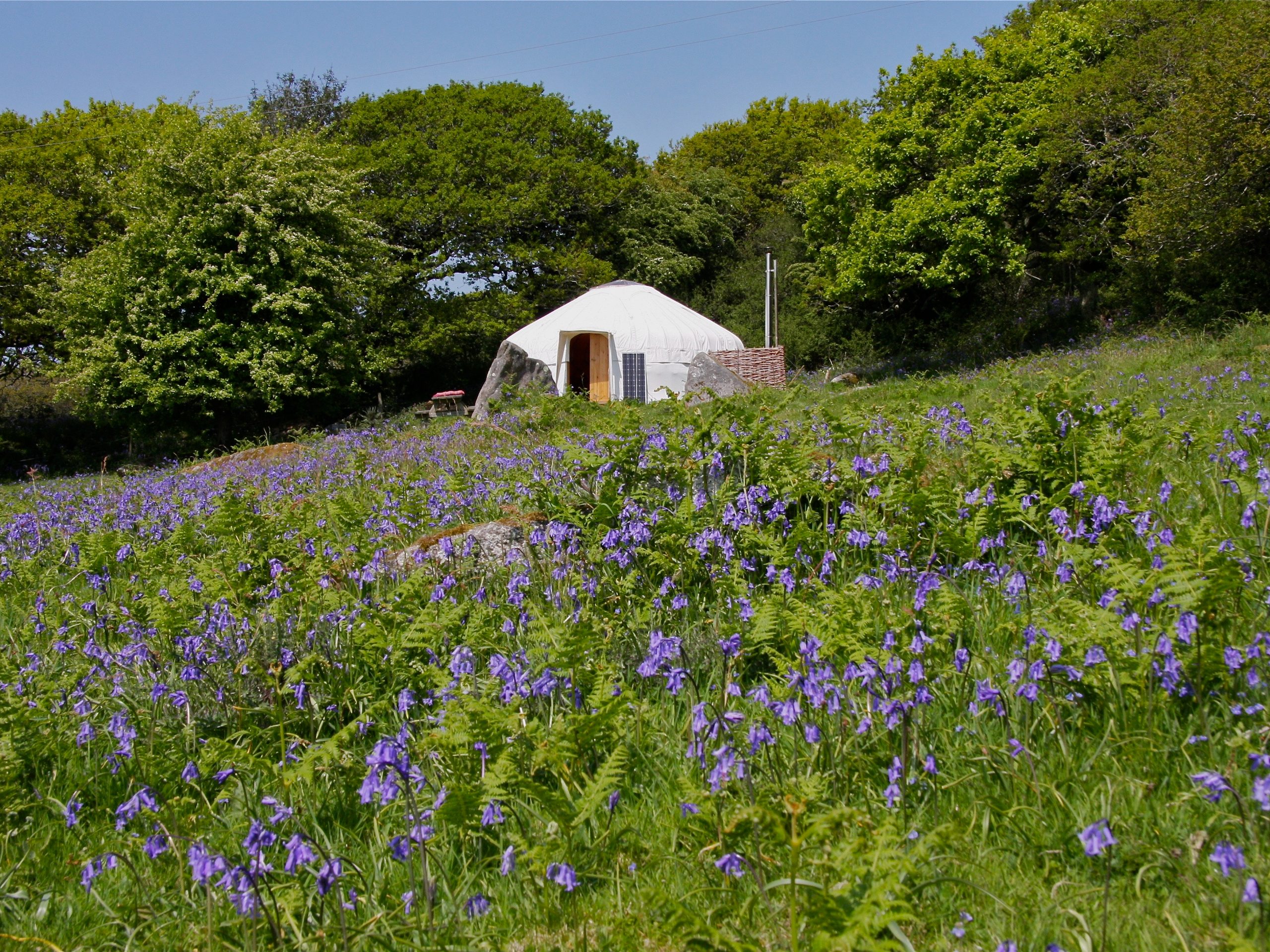 The Ash Field Yurt - Cornish Yurt Holidays