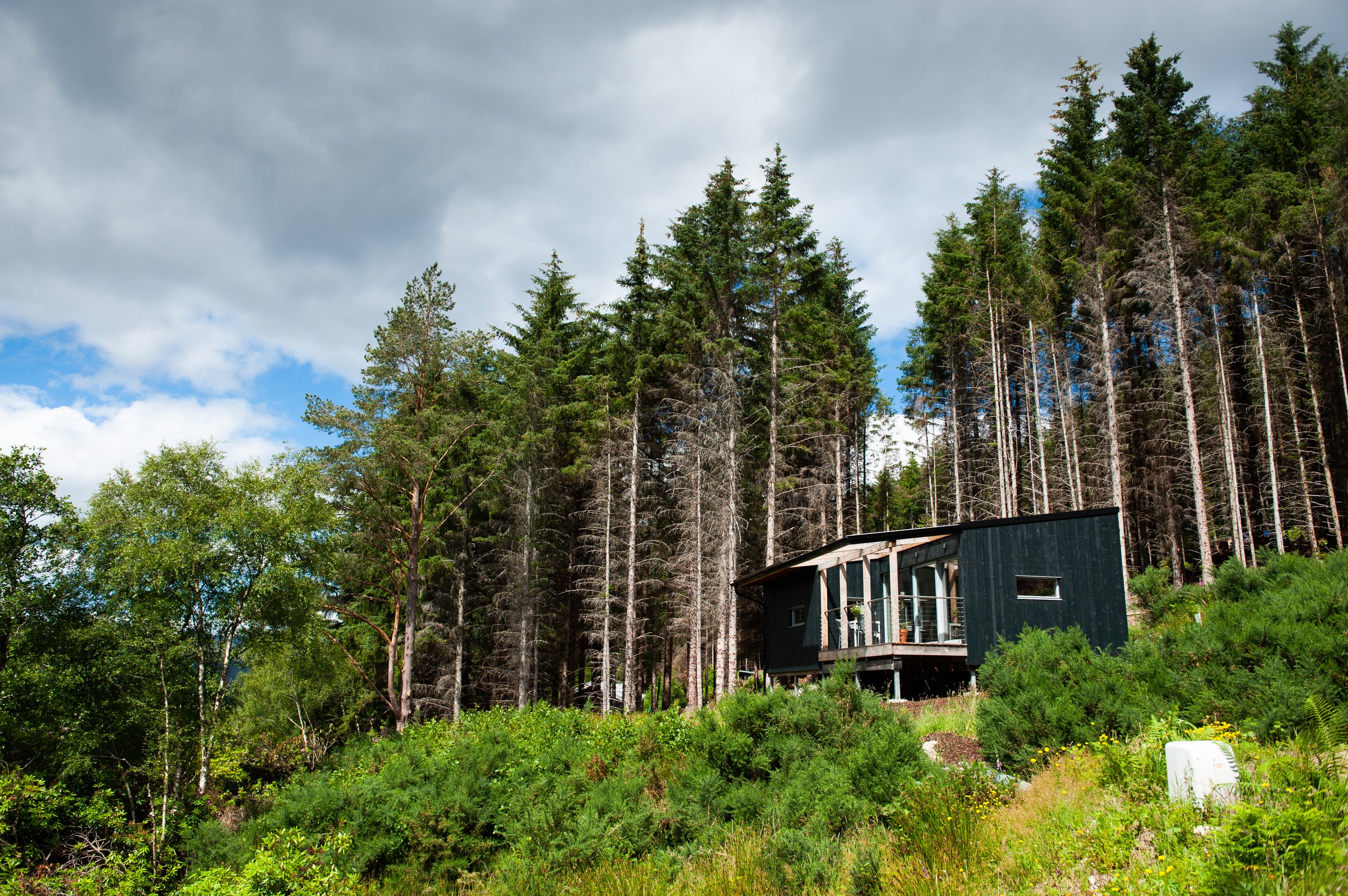 Ecotone Cabins - Image 1