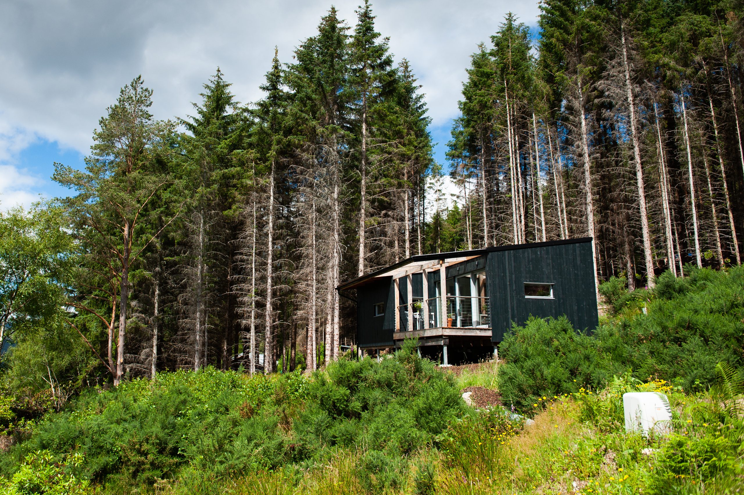 Ecotone Cabins - Image 1