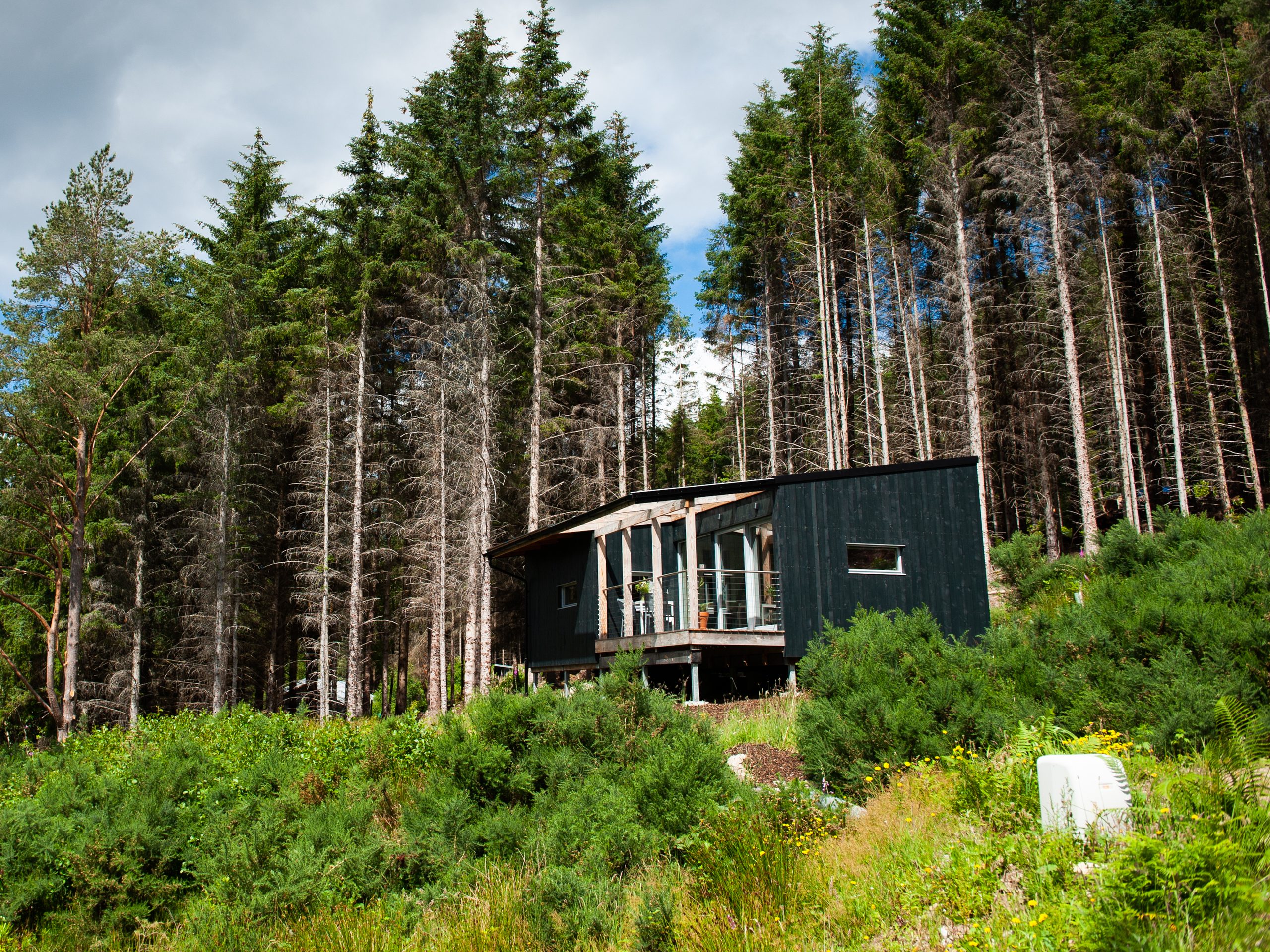 Ecotone Cabins