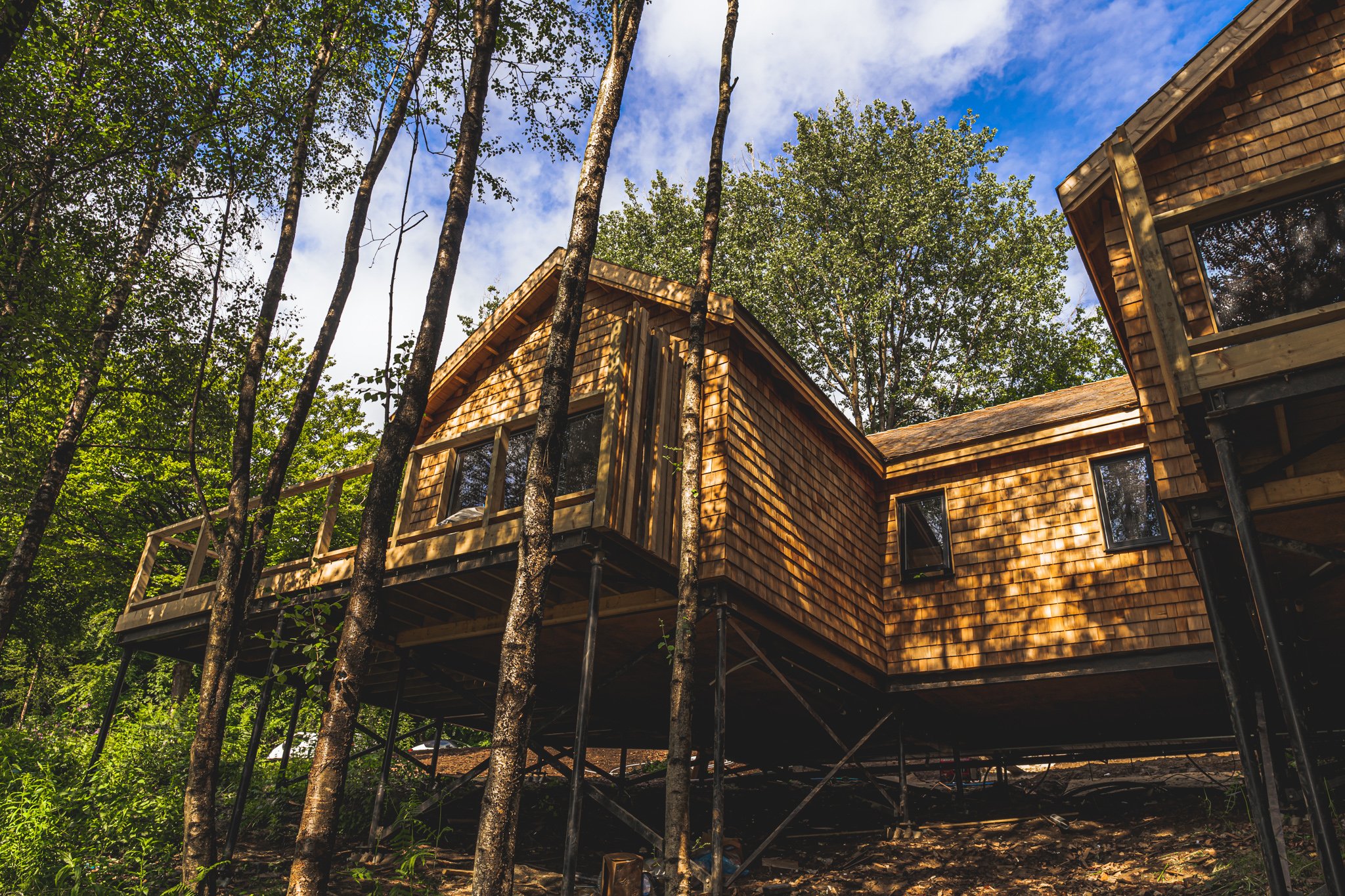 The Tawny Treehouses