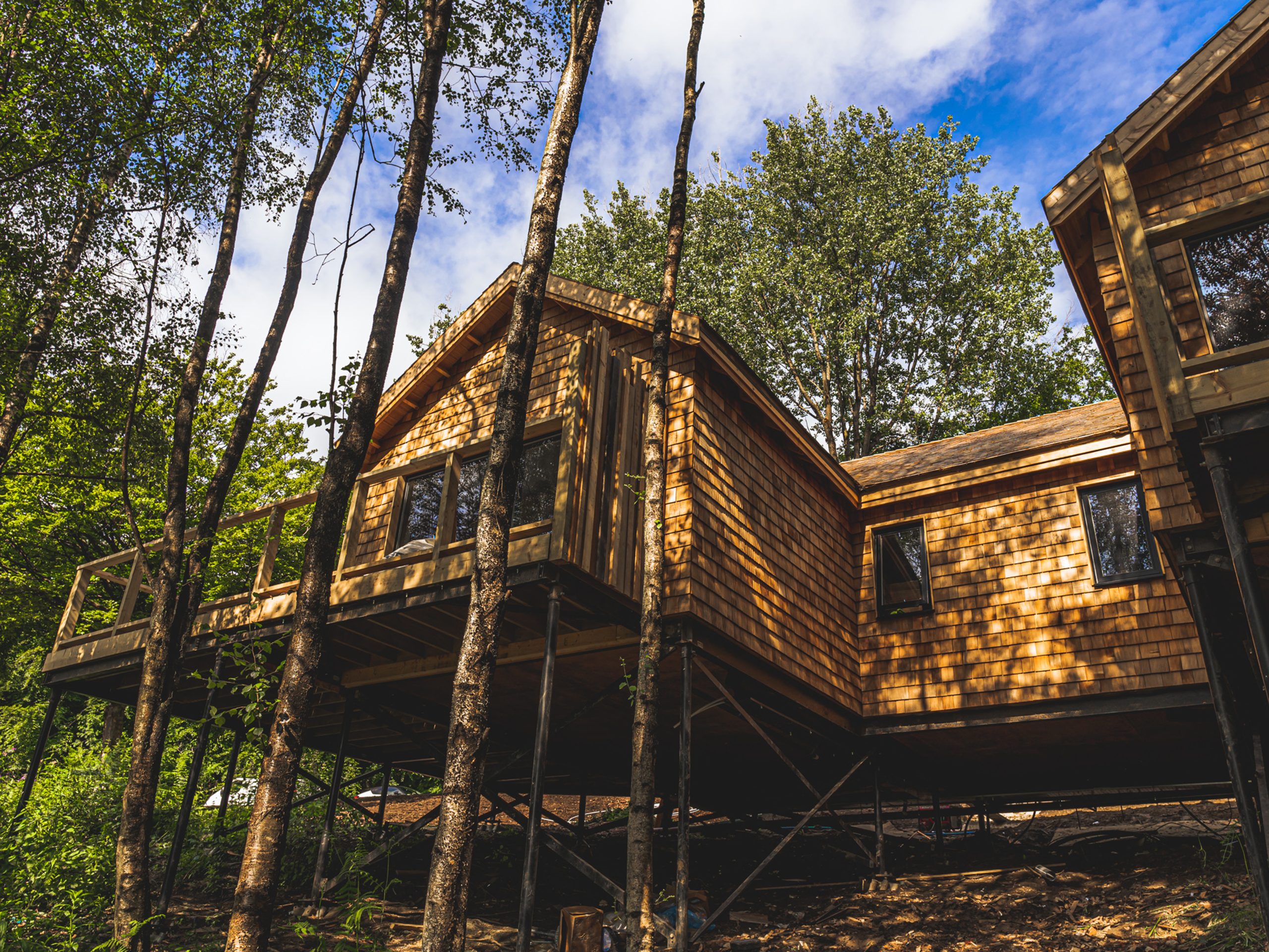 The Tawny Treehouses