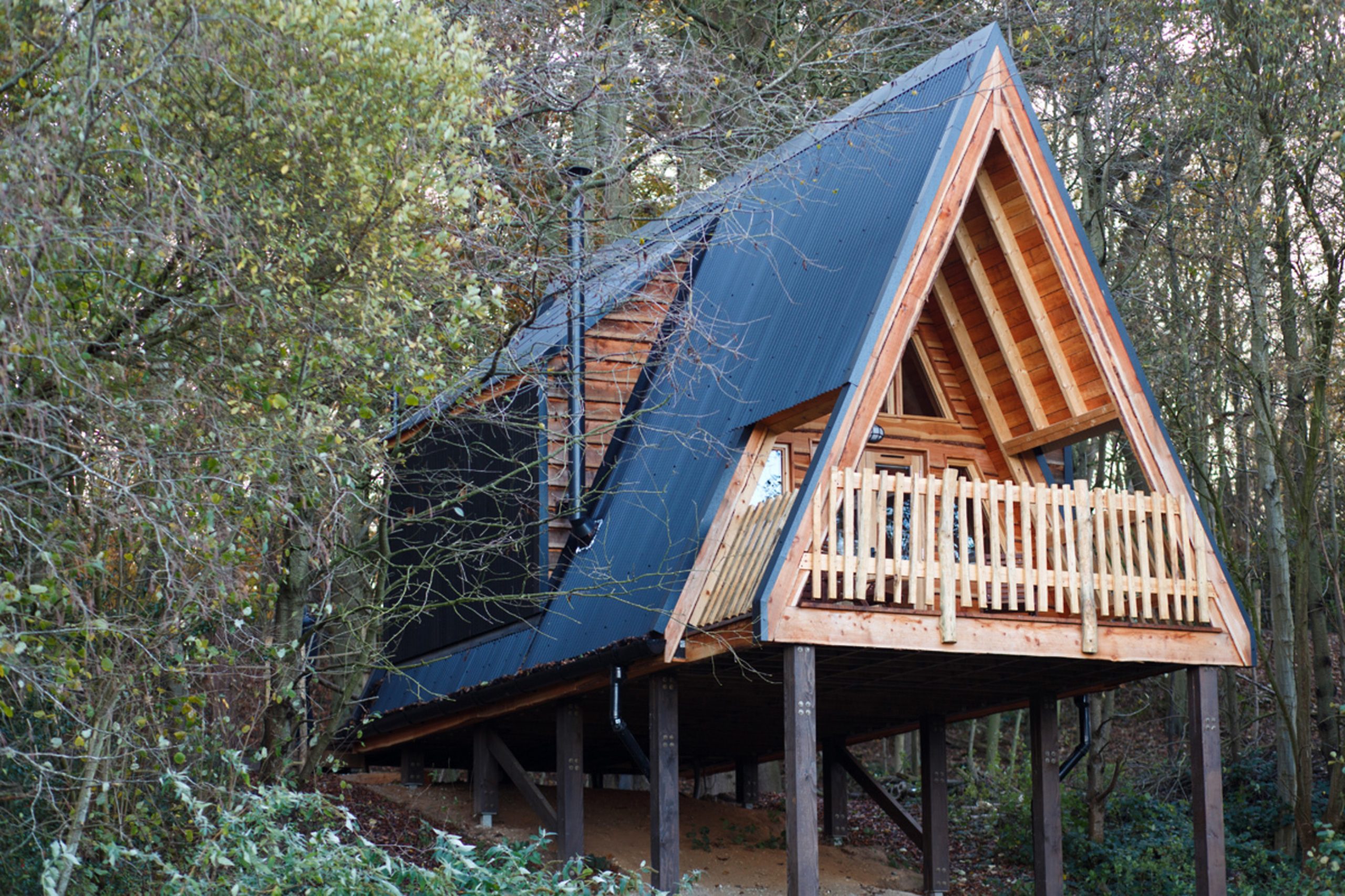 Woodland Dens - Image 1