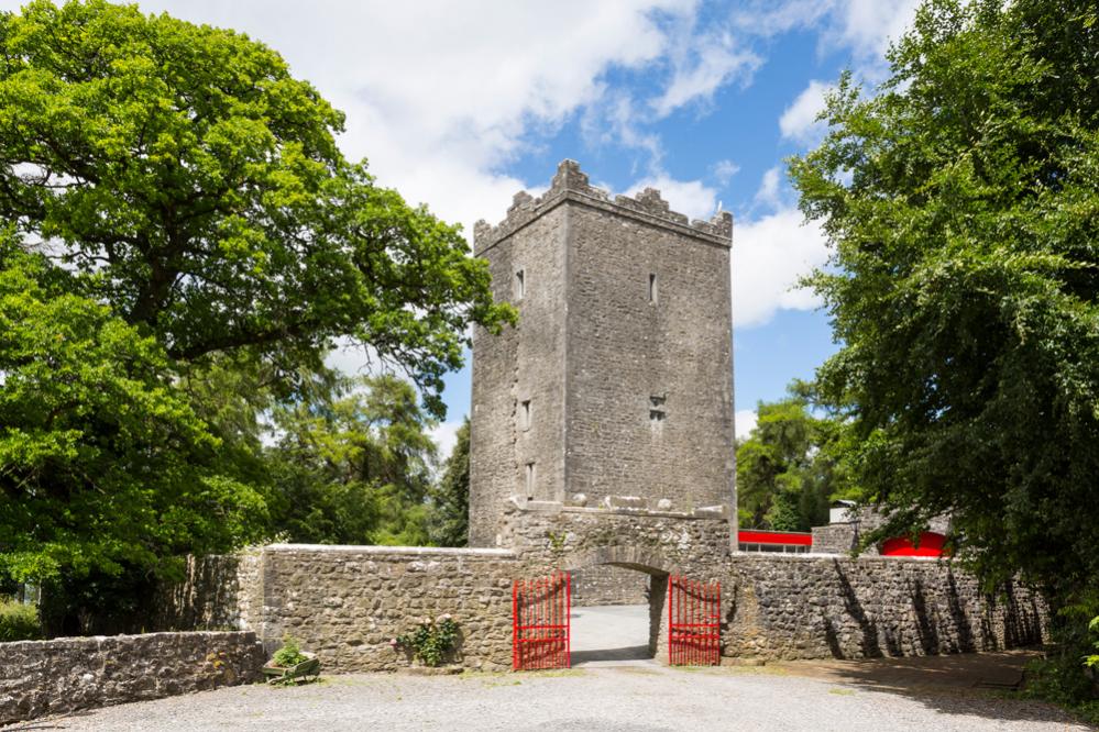 County Meath Castle