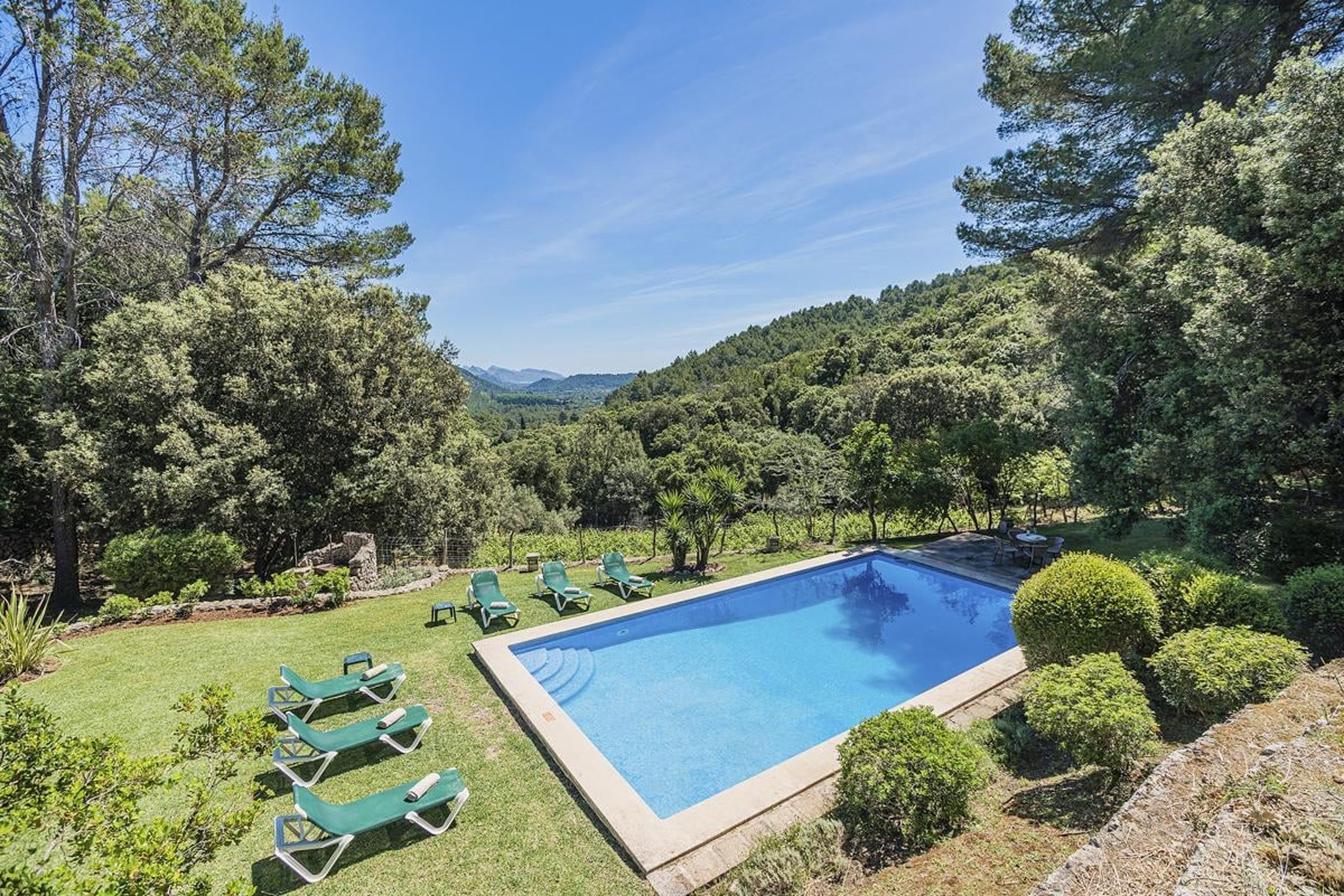 Finca Assarell - Image 1