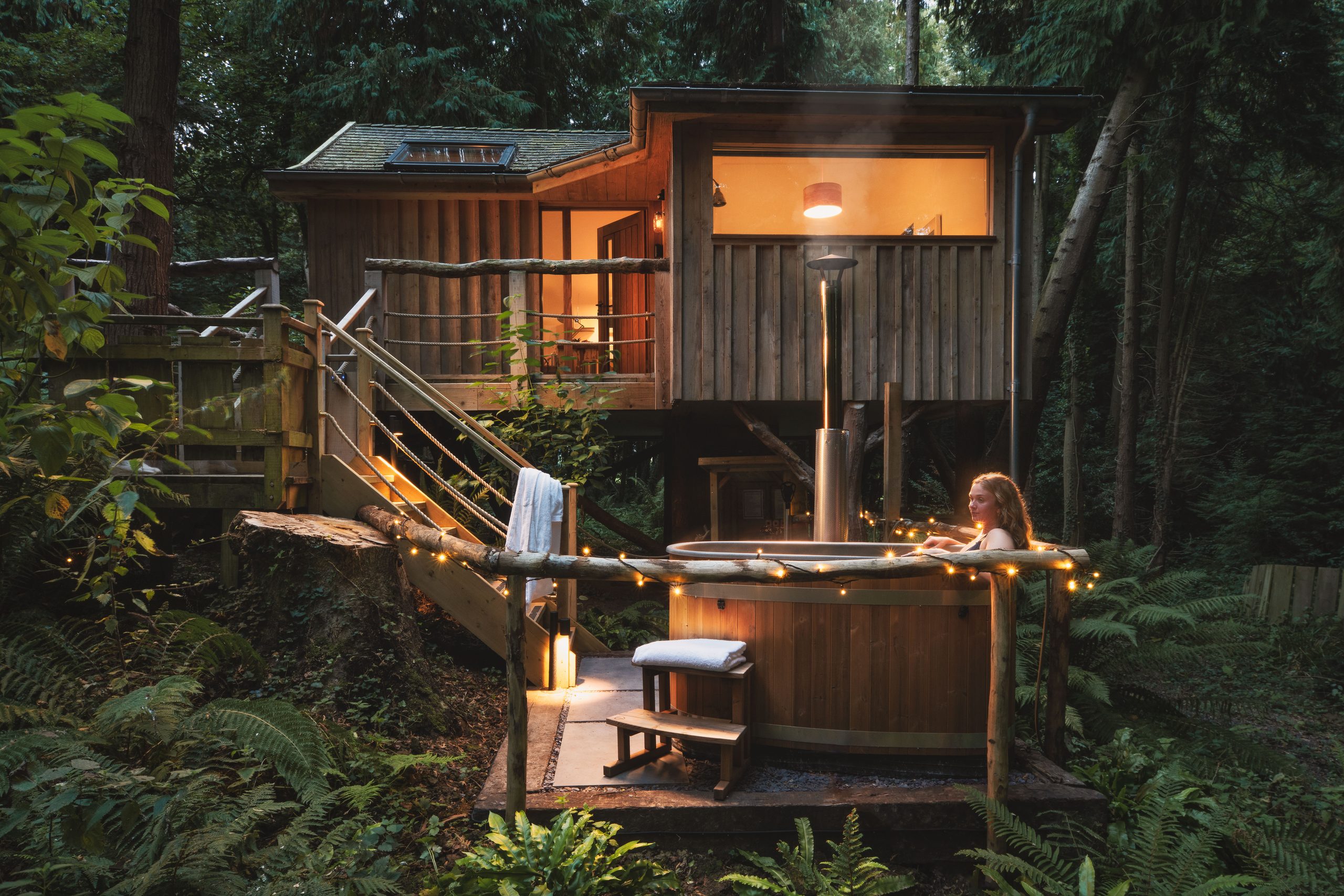 The Birdhouse Treehouse - Image 1