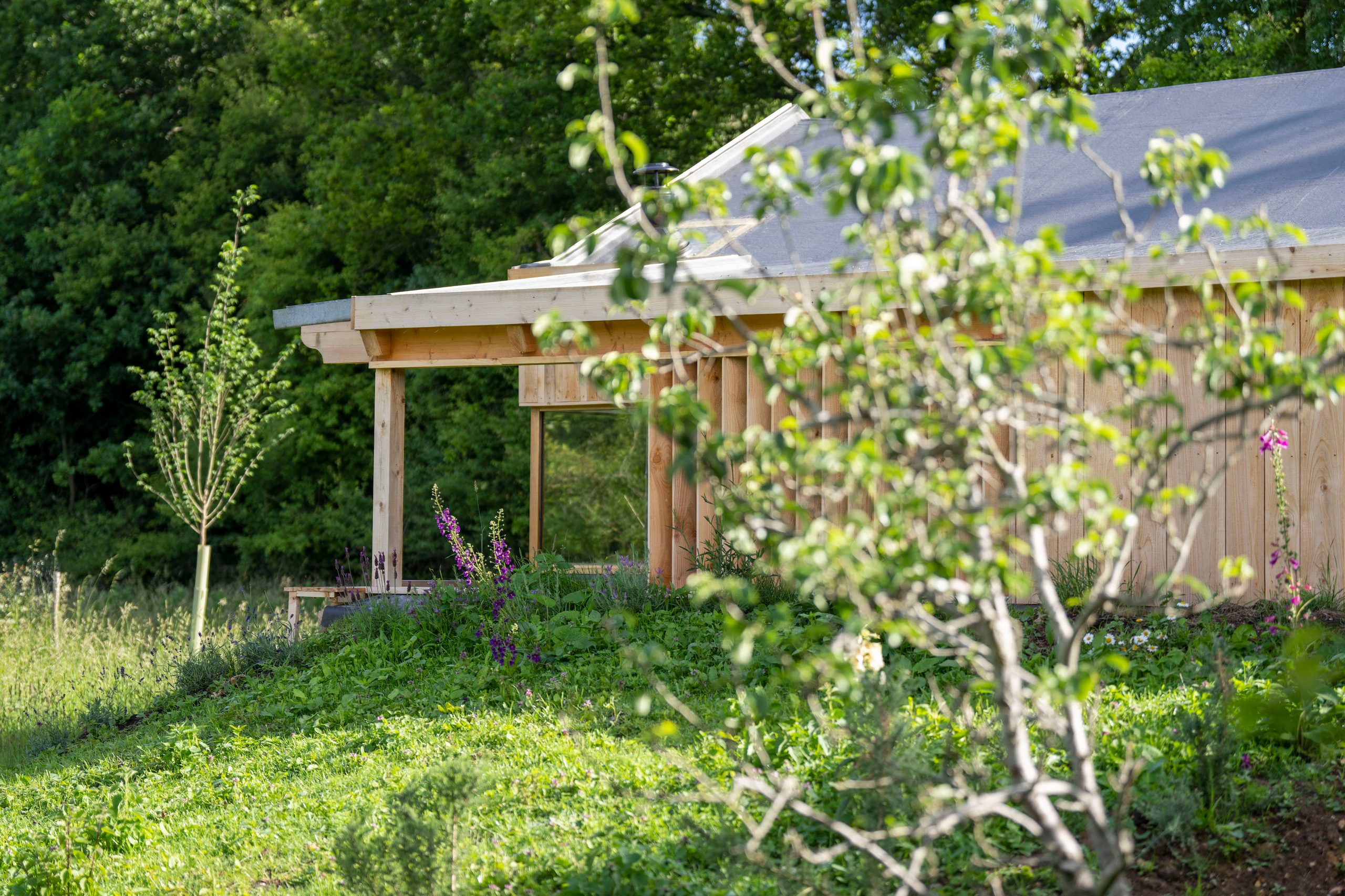 Meadow Hide - Image 1