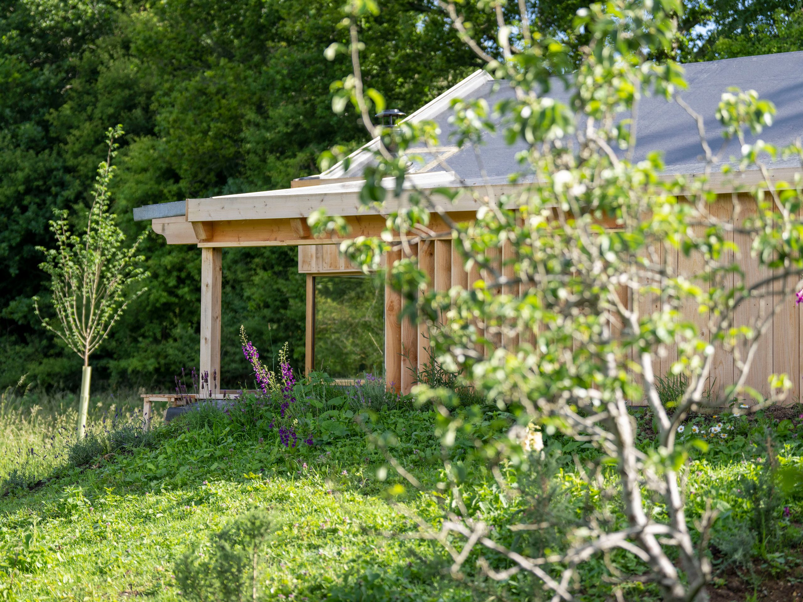Meadow Hide