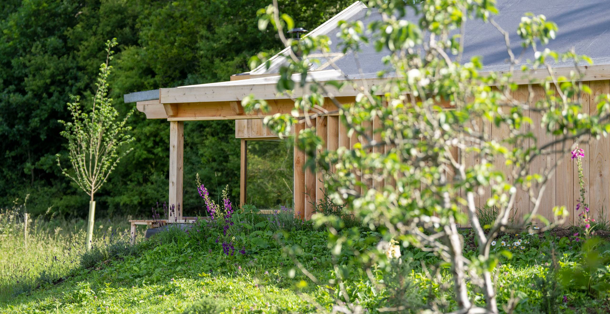 Meadow Hide